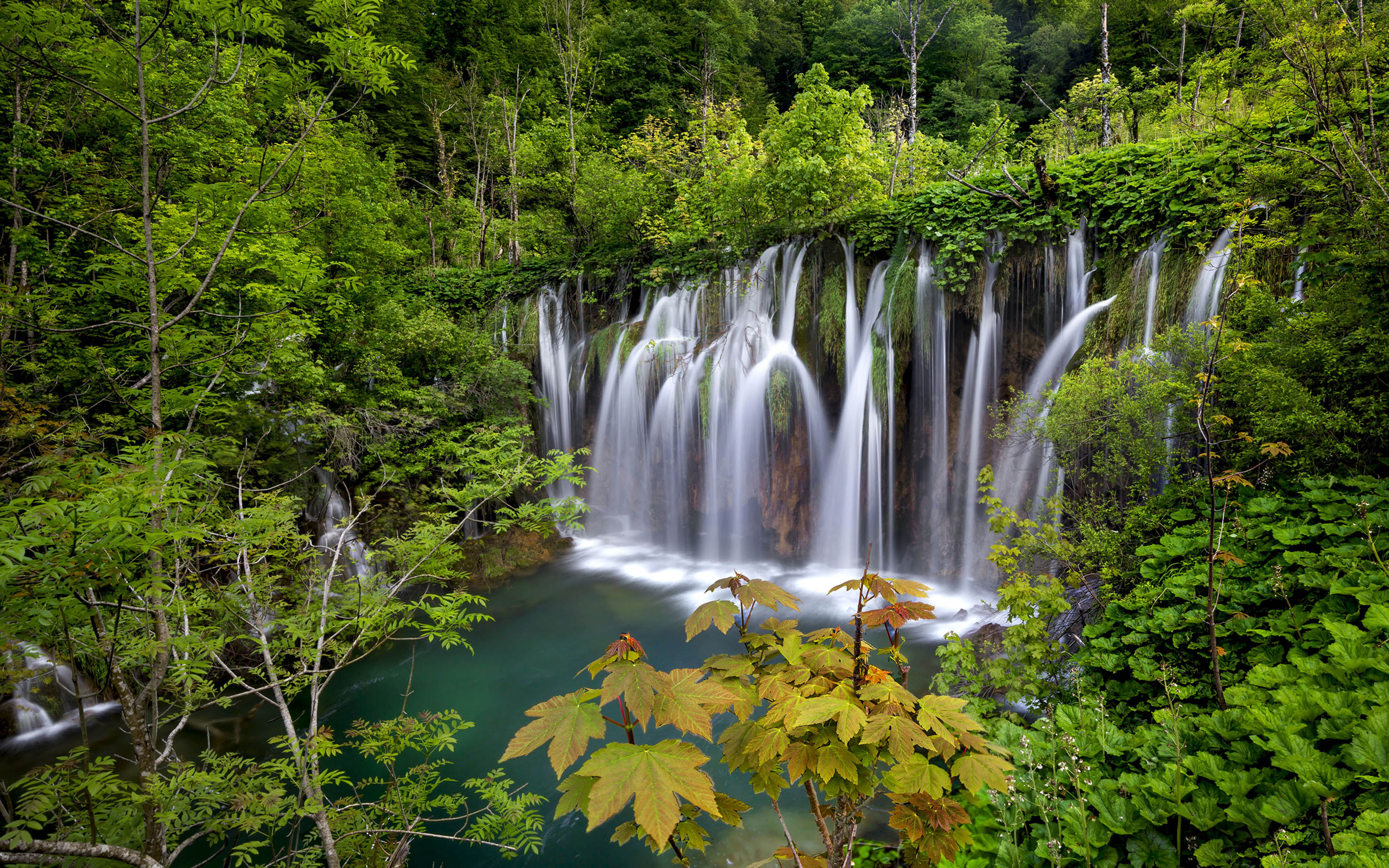 434627 скачать обои зеленый, земля/природа, водопад, лес, плитвицкое озеро, водопады - заставки и картинки бесплатно