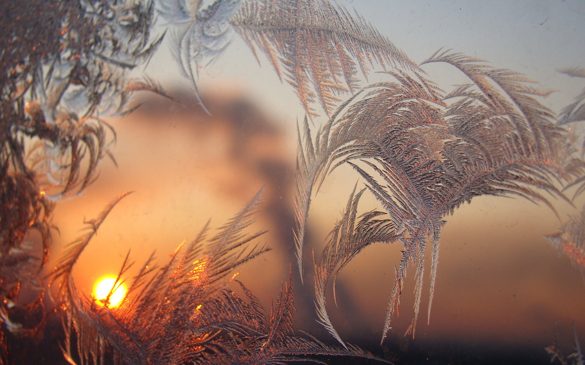 541924 Hintergrundbild herunterladen frost, erde/natur, winter, pastell, sonnenuntergang - Bildschirmschoner und Bilder kostenlos