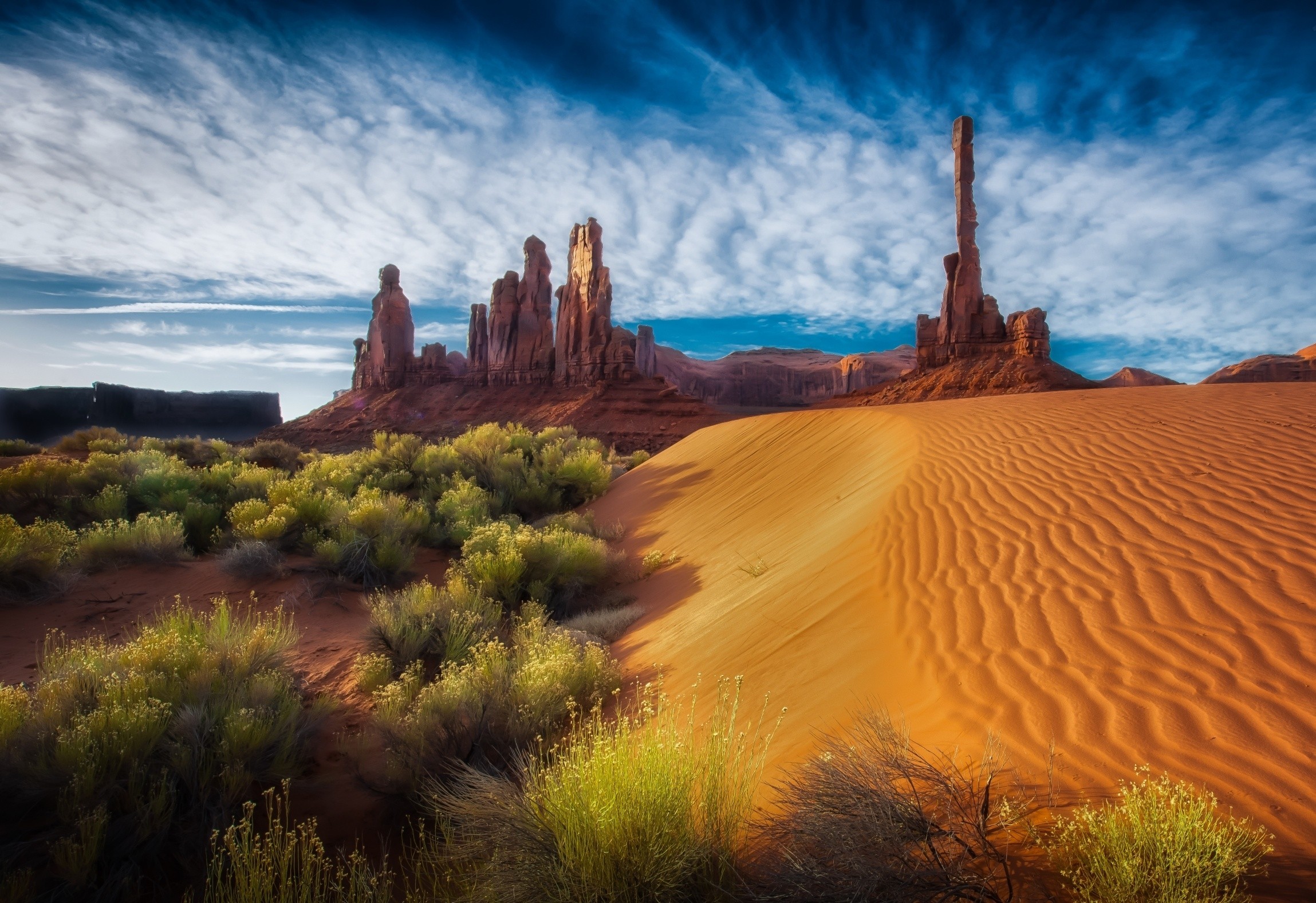 Download mobile wallpaper Landscape, Sand, Desert, Tree, Earth for free.