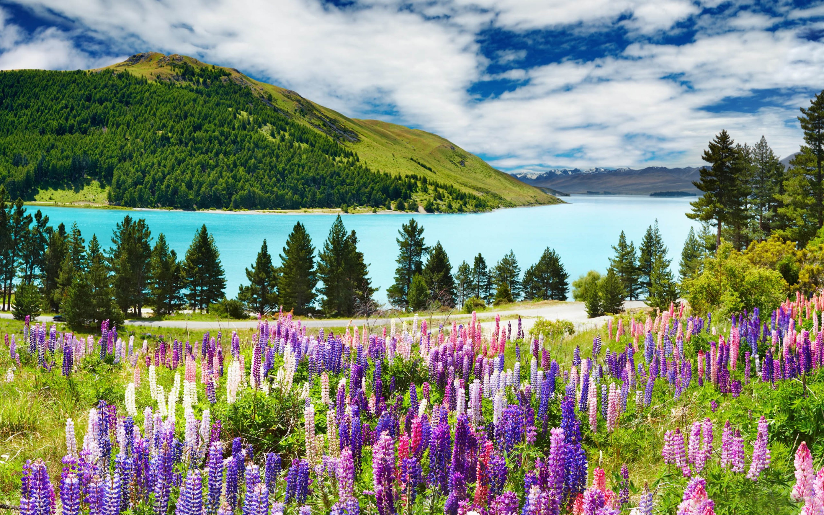 無料モバイル壁紙テカポ湖, ニュージーランド, 湖, 地球をダウンロードします。