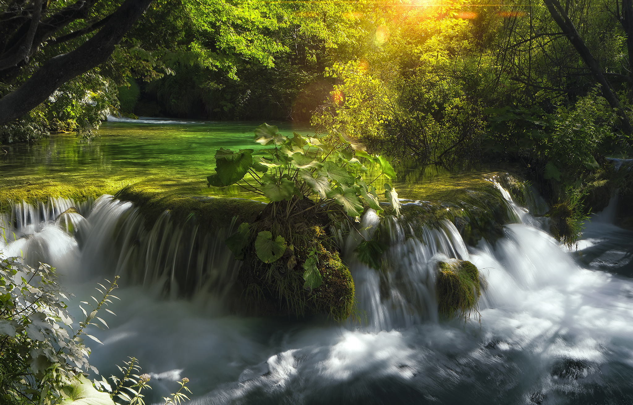 Free download wallpaper Waterfalls, Waterfall, Forest, Tree, Earth on your PC desktop