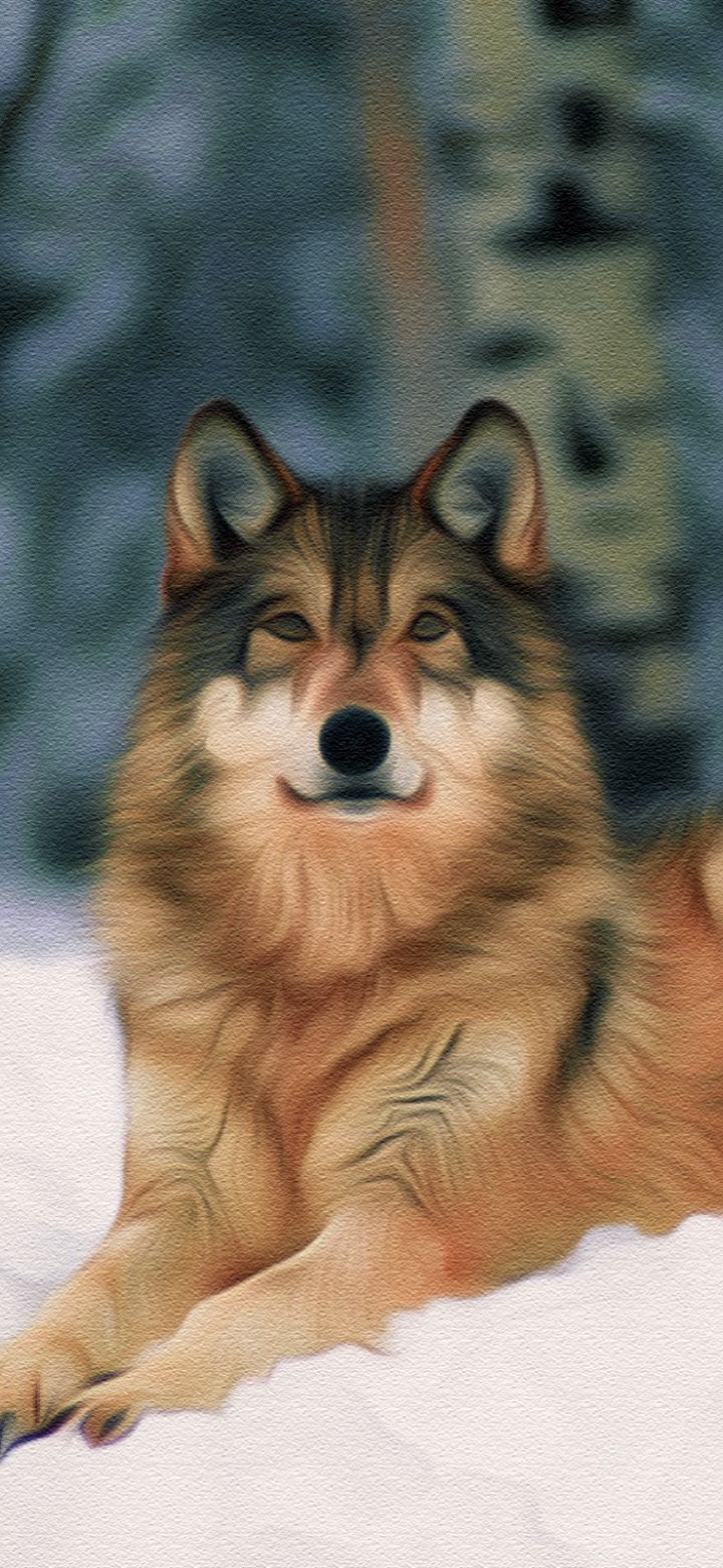 Download mobile wallpaper Winter, Snow, Close Up, Wolf, Animal, Oil Painting, Wolves for free.