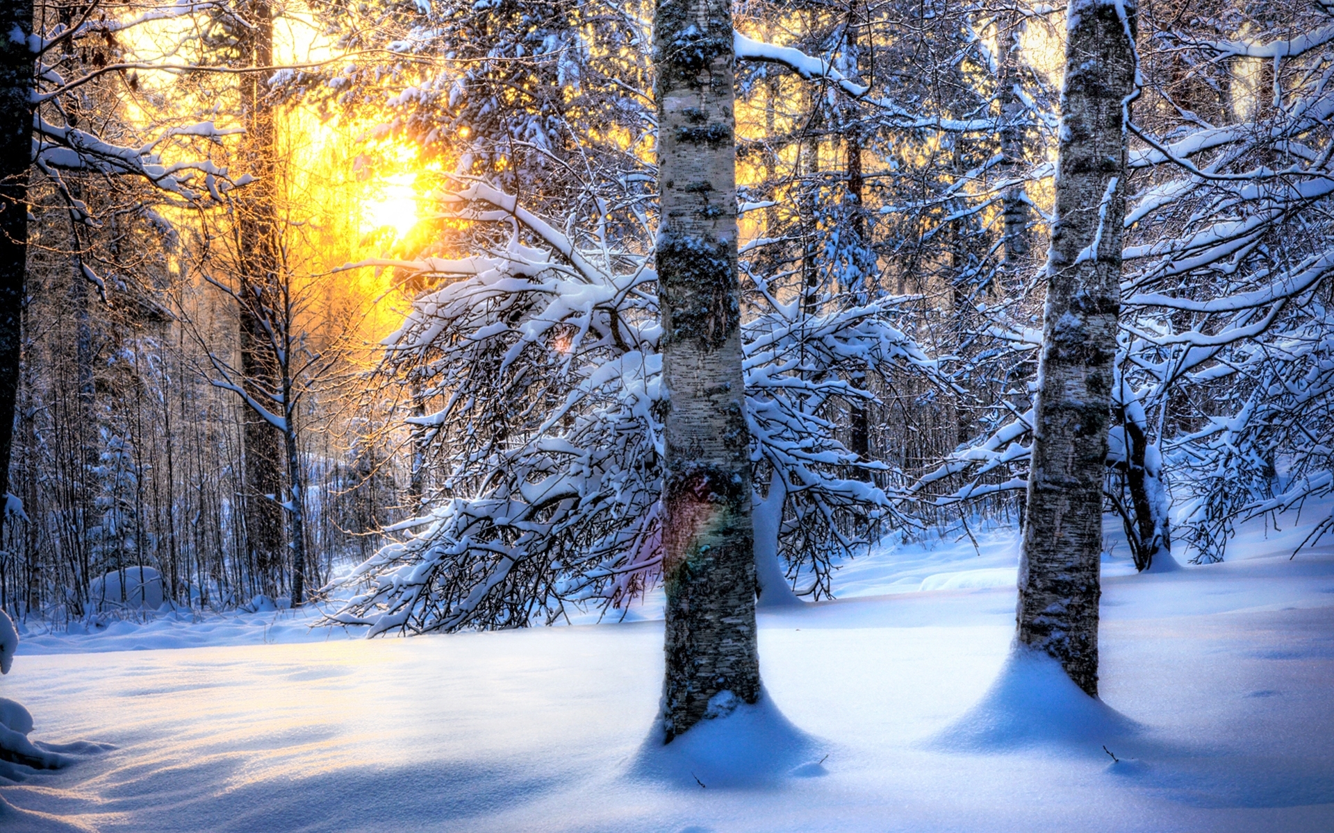 Скачать обои бесплатно Снег, Деревья, Природа, Пейзаж, Зима картинка на рабочий стол ПК