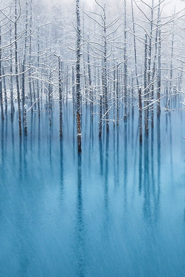 Download mobile wallpaper Winter, Earth for free.