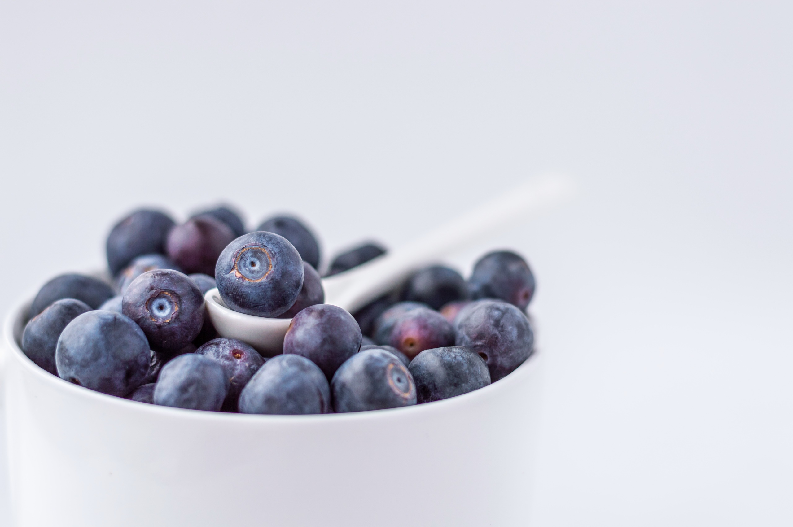 Download mobile wallpaper Food, Blueberry, Berry, Fruit for free.