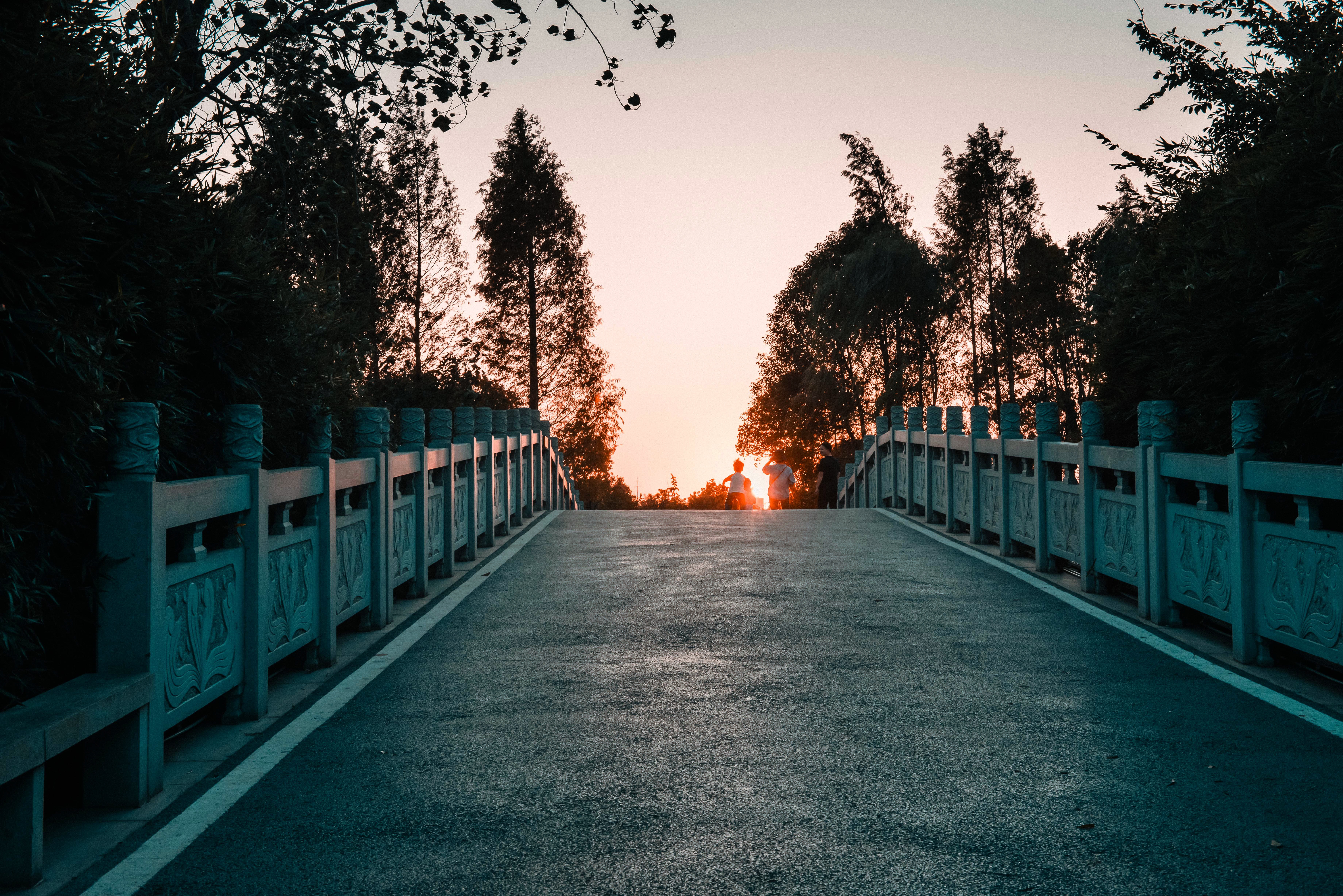road, sunset, nature, twilight, asphalt, dusk, bridge Panoramic Wallpaper