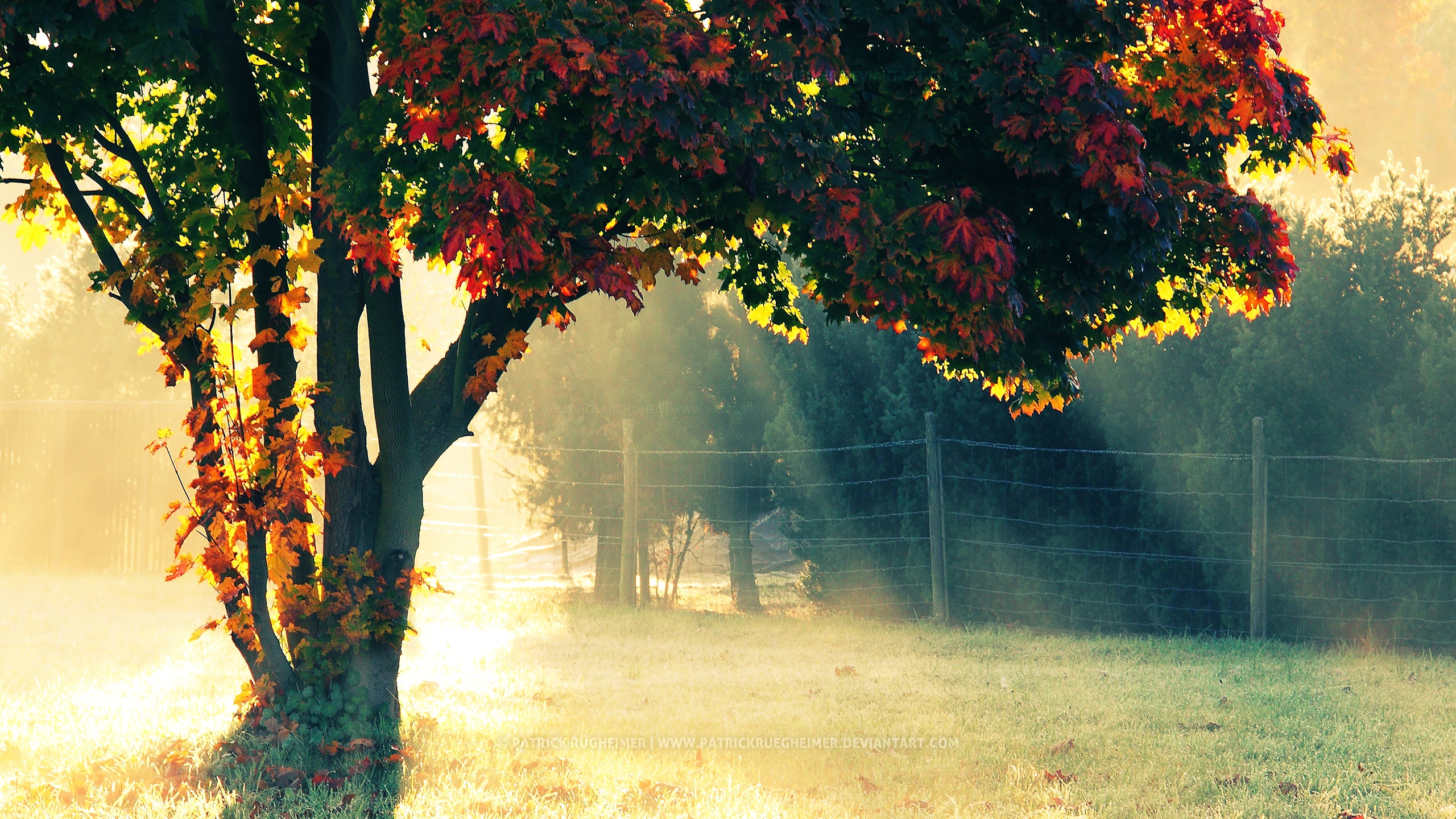 Download mobile wallpaper Fall, Earth for free.