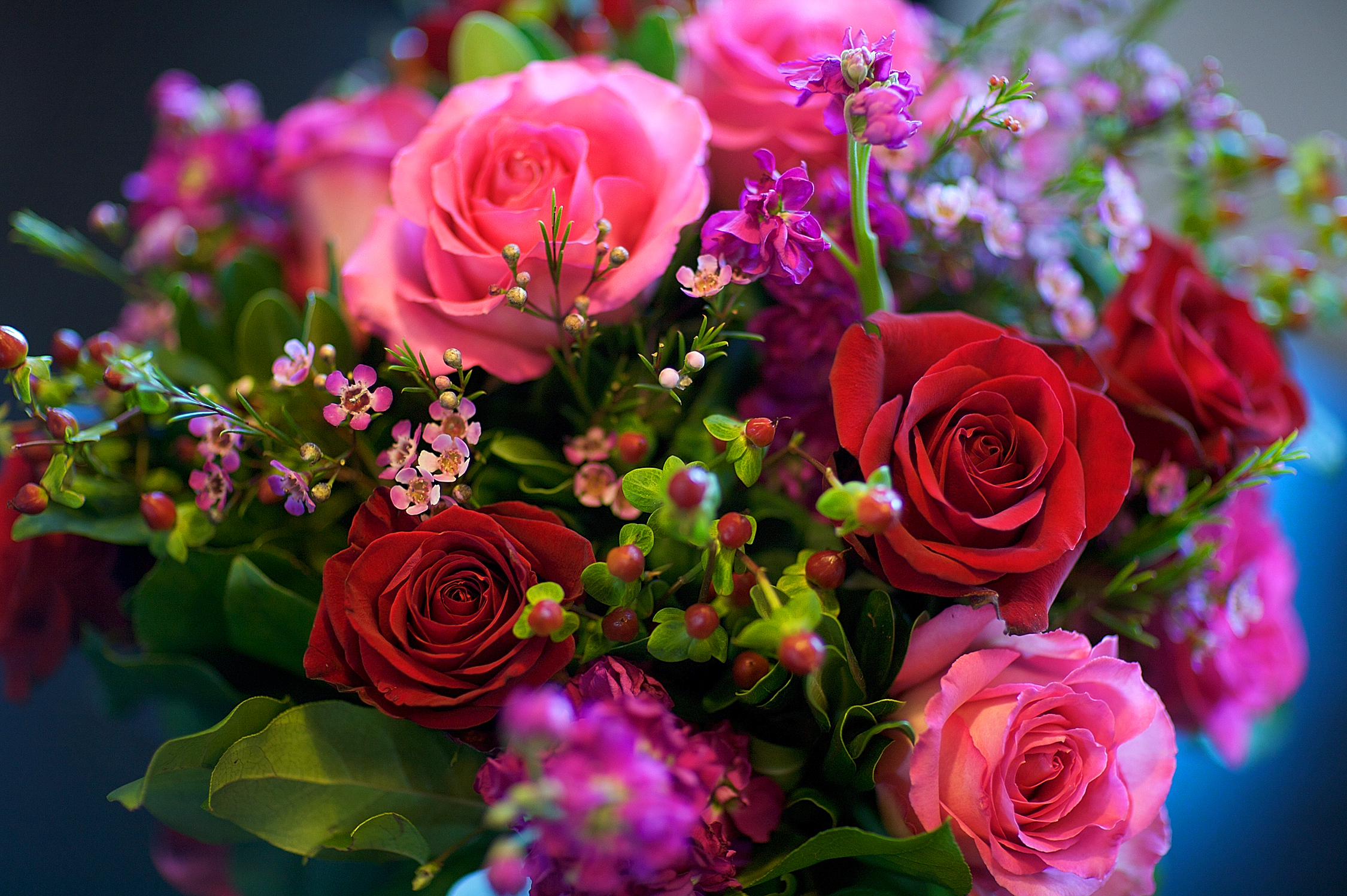 desktop Images pink flower, bouquet, earth, rose, colorful, colors, flower, red flower, flowers