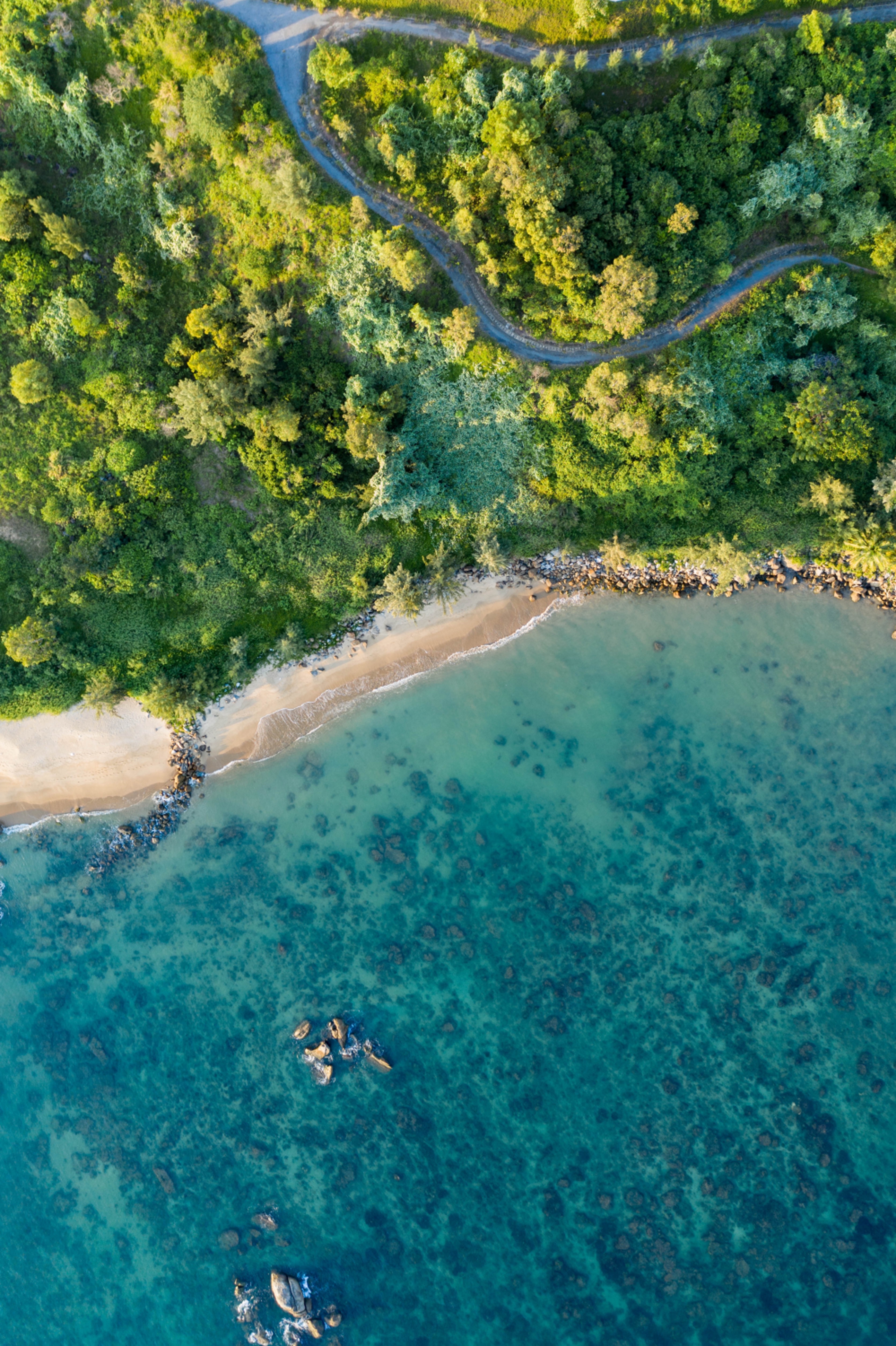 view from above, beach, nature, coast, sea, trees, vegetation