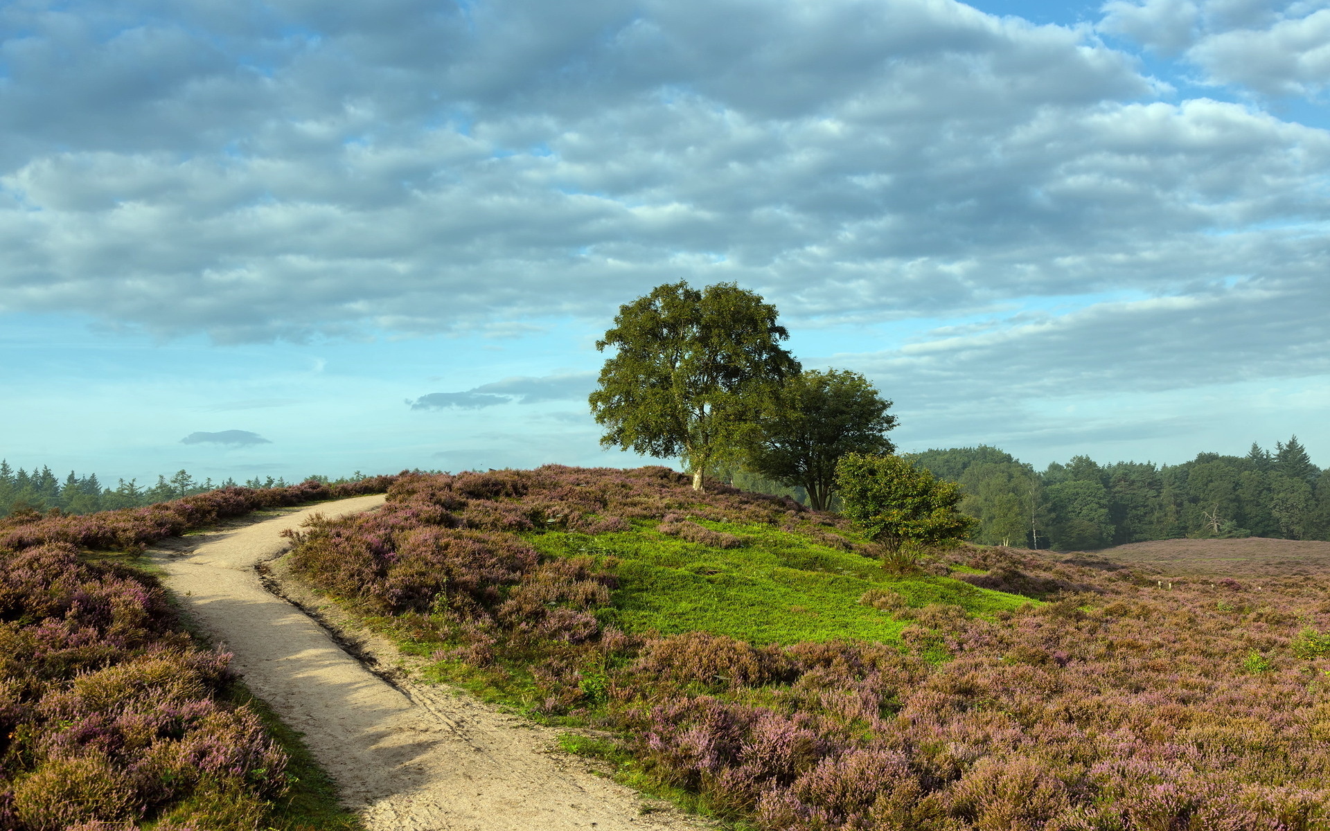 Handy-Wallpaper Landschaft, Erde/natur kostenlos herunterladen.