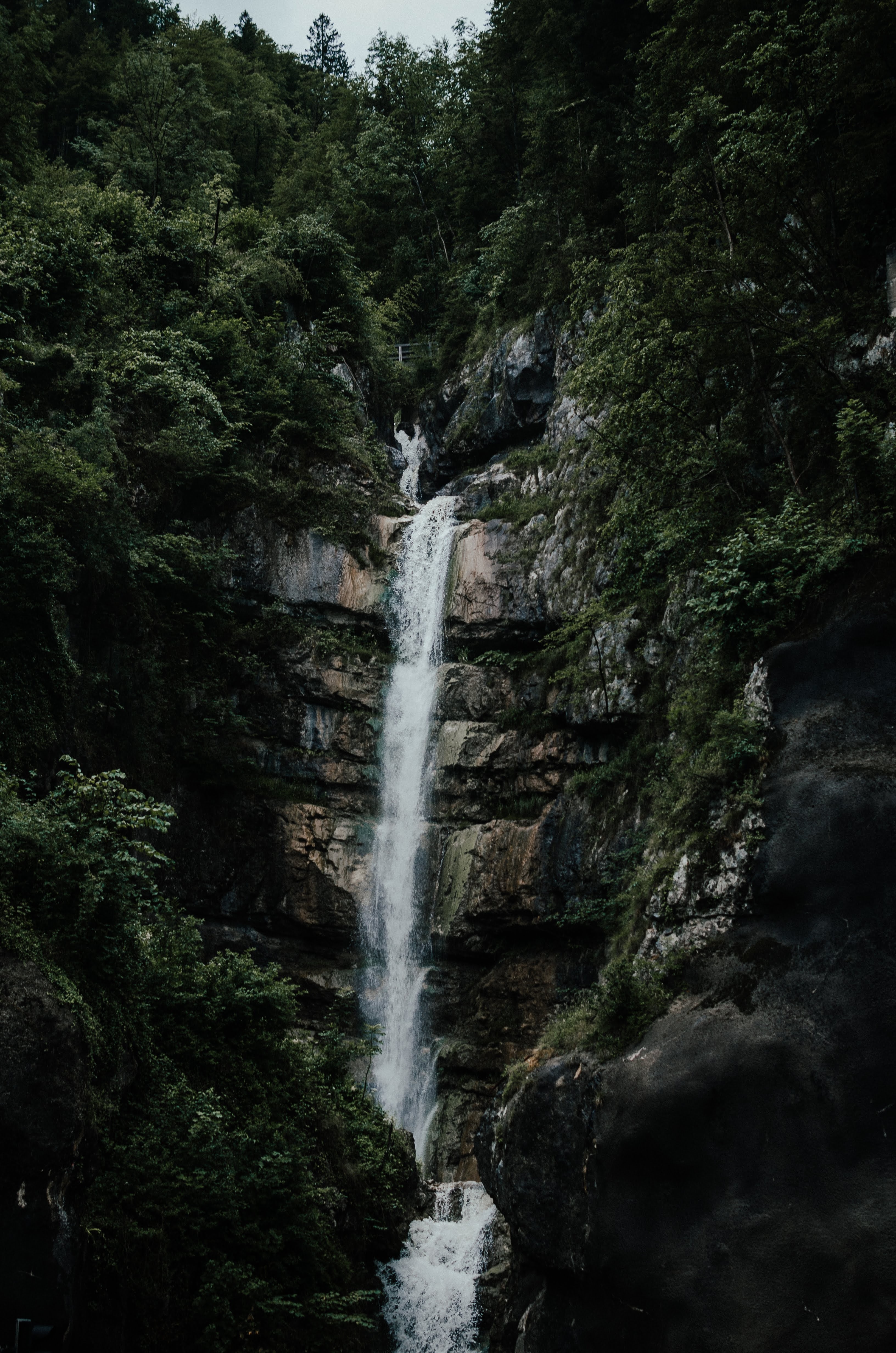 Download mobile wallpaper Precipice, Break, Rivers, Waterfall, Forest, Trees, Nature for free.