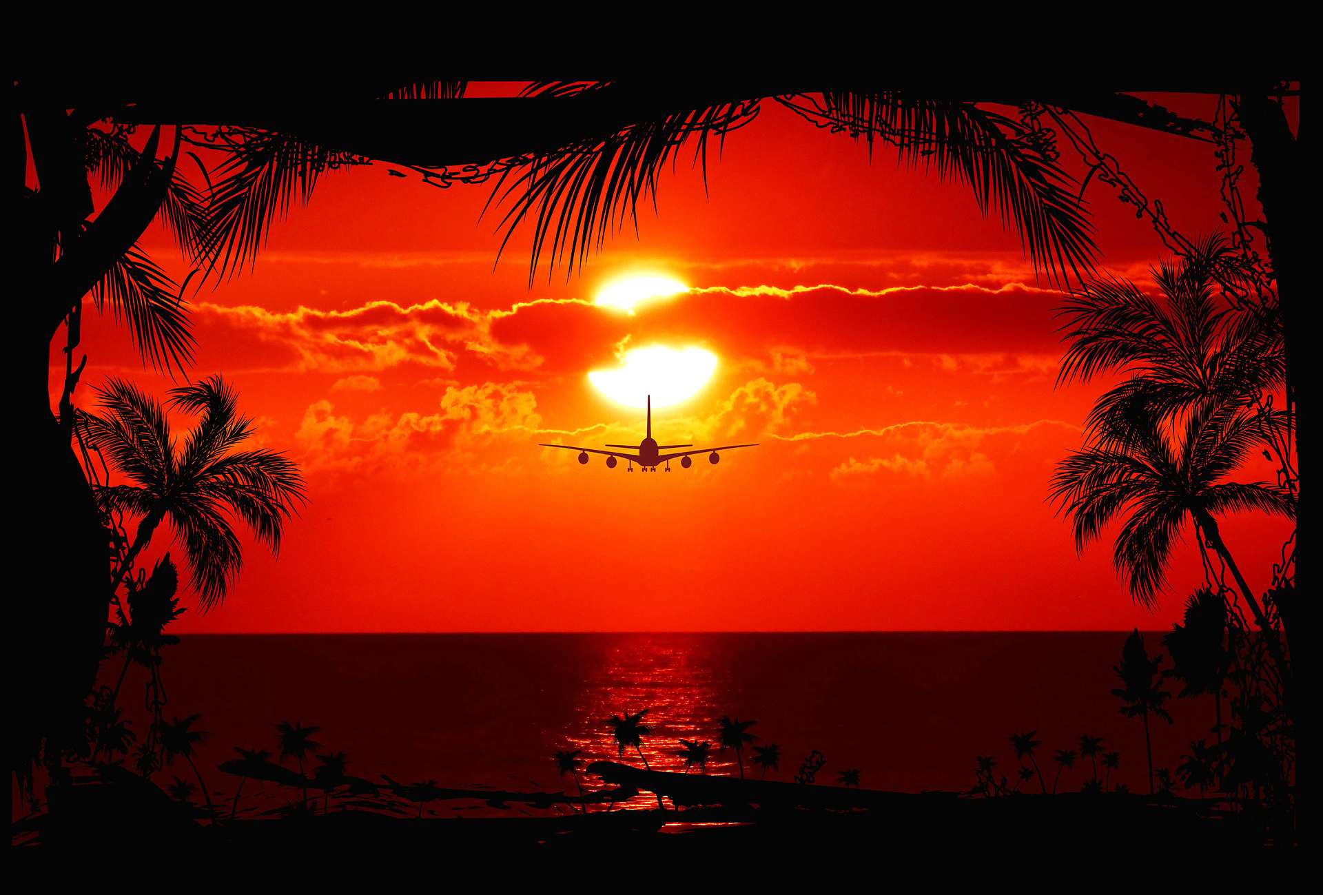 flight, sunset, earth, airplane, cloud, evening, palm tree
