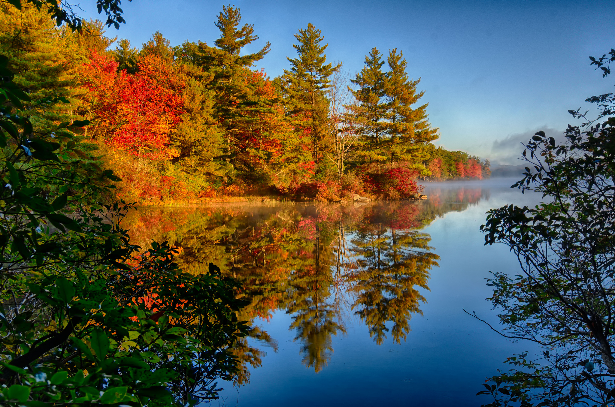 無料モバイル壁紙木, 秋, 湖, 反射, 森, 地球をダウンロードします。