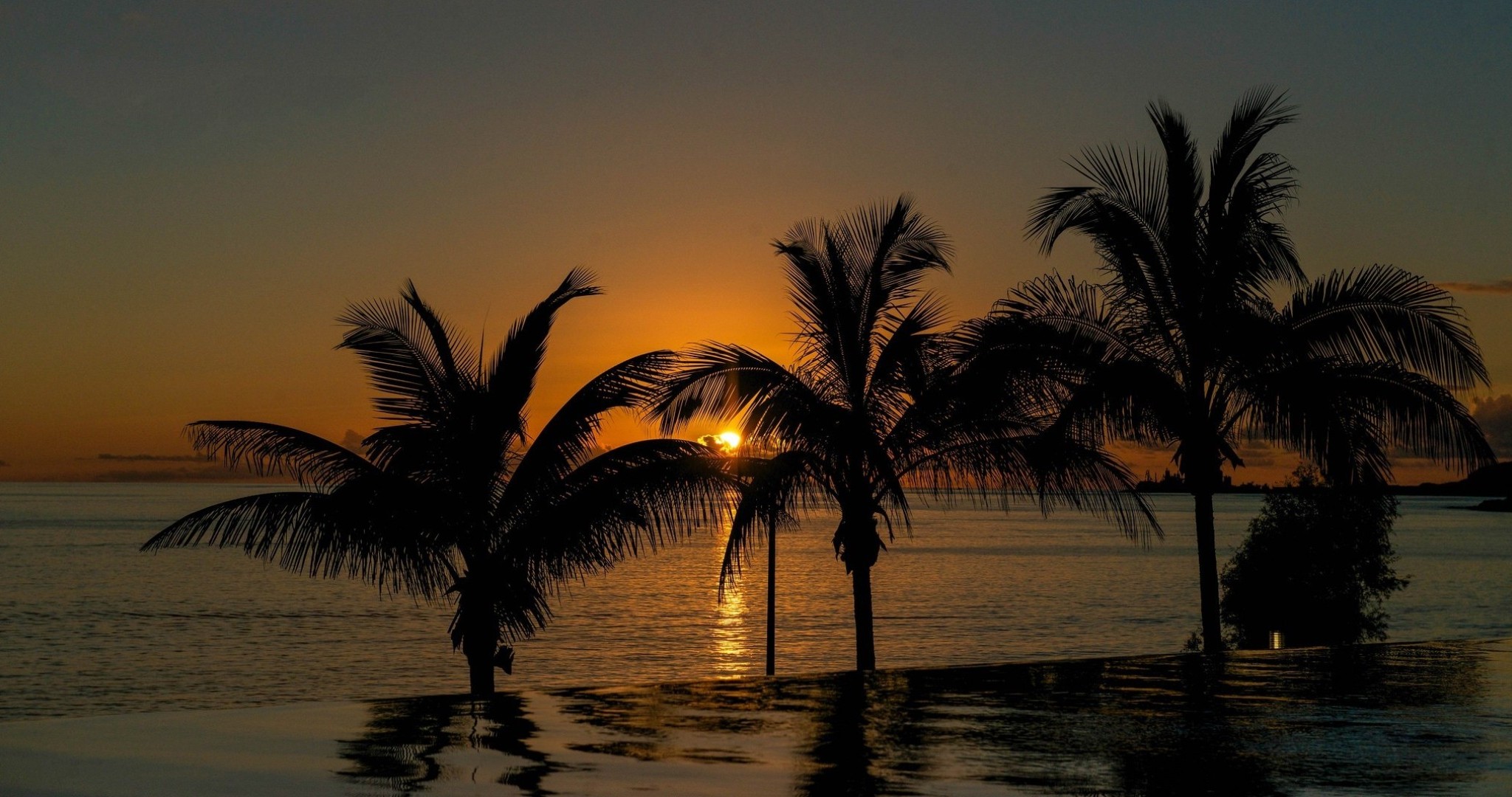 Free download wallpaper Sunset, Sea, Beach, Earth, Tropics, Palm Tree on your PC desktop