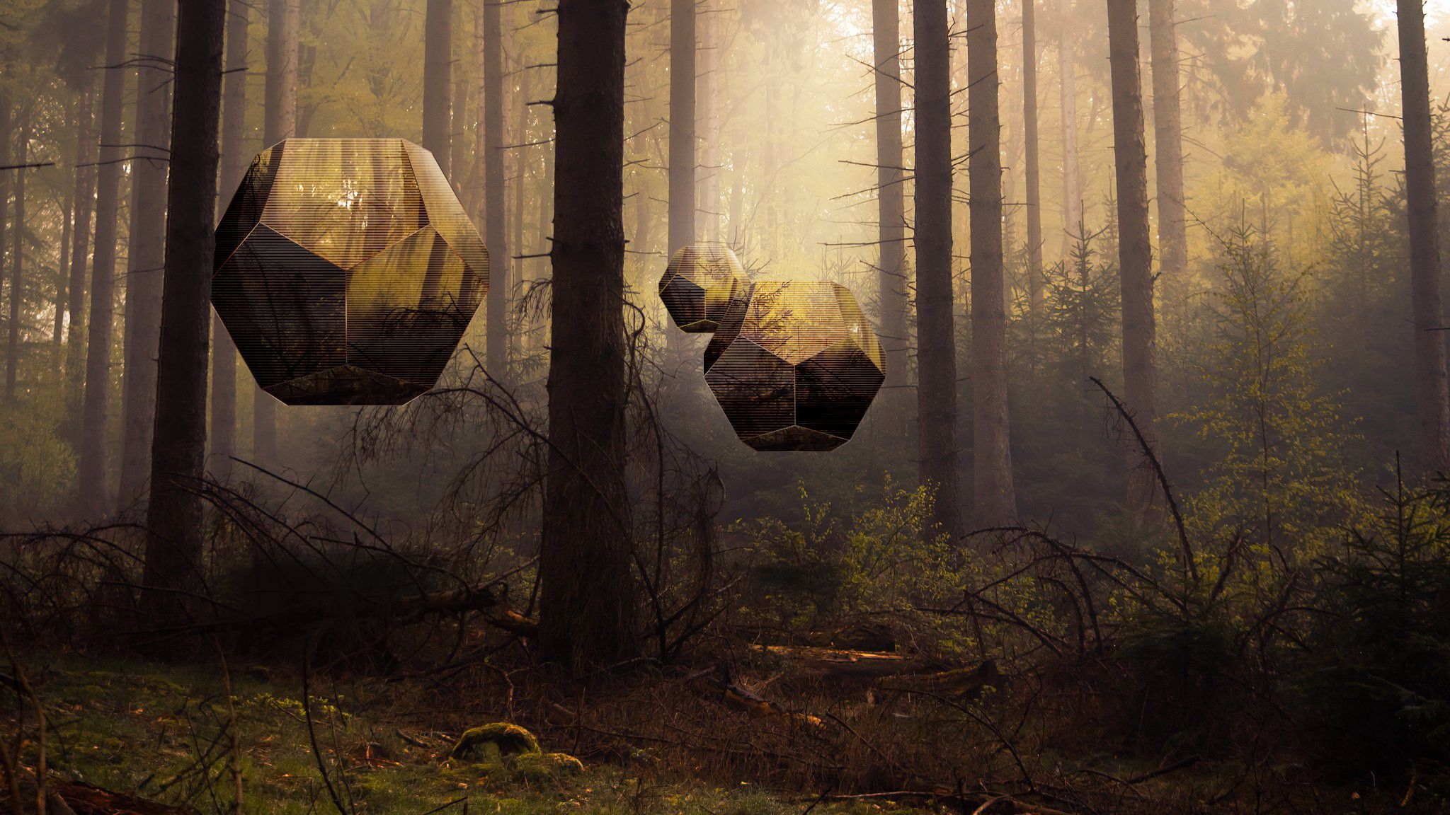 Laden Sie das Wald, Nebel, Künstlerisch, Polyscape-Bild kostenlos auf Ihren PC-Desktop herunter