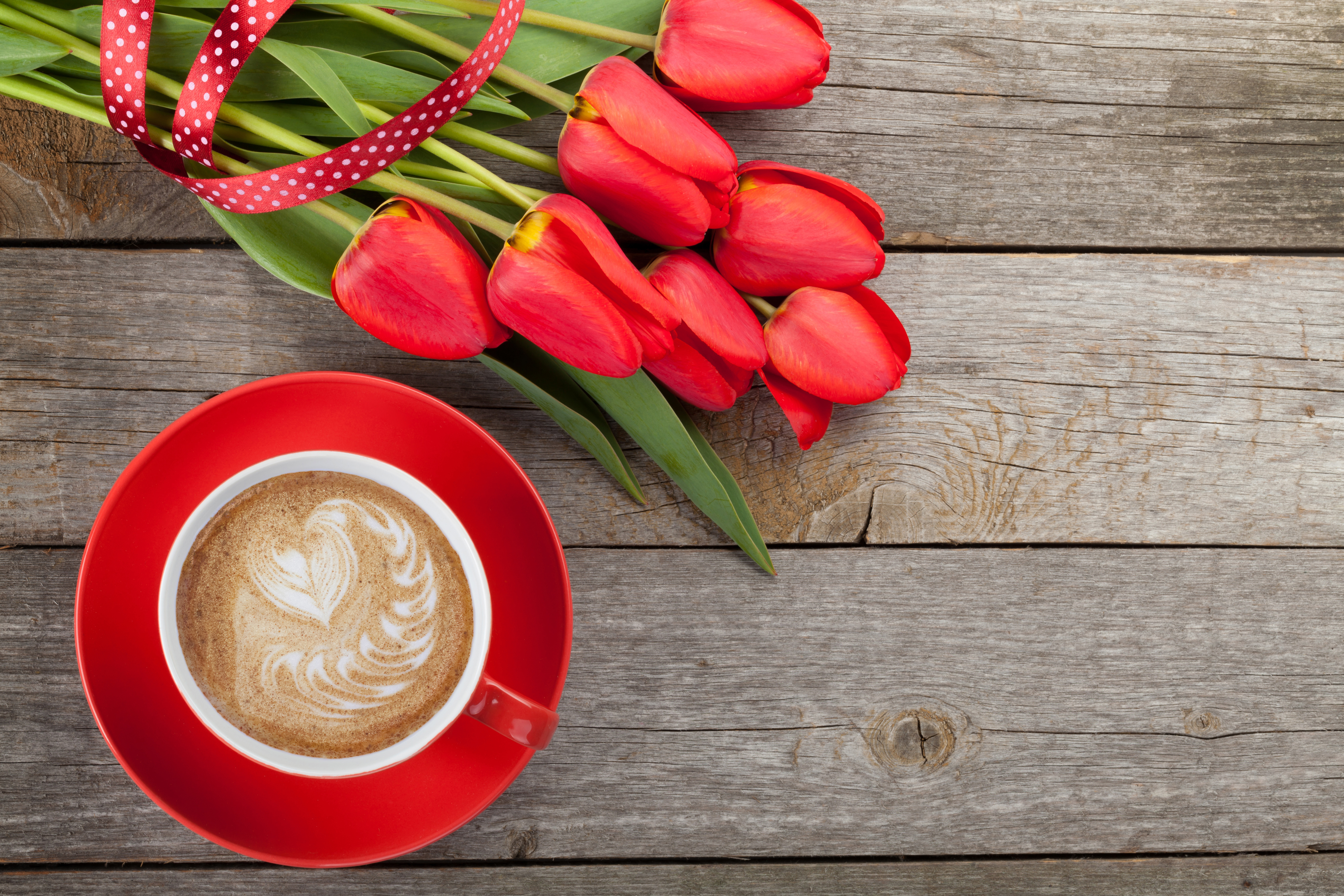 Download mobile wallpaper Food, Coffee, Still Life, Flower, Cup, Tulip, Red Flower for free.