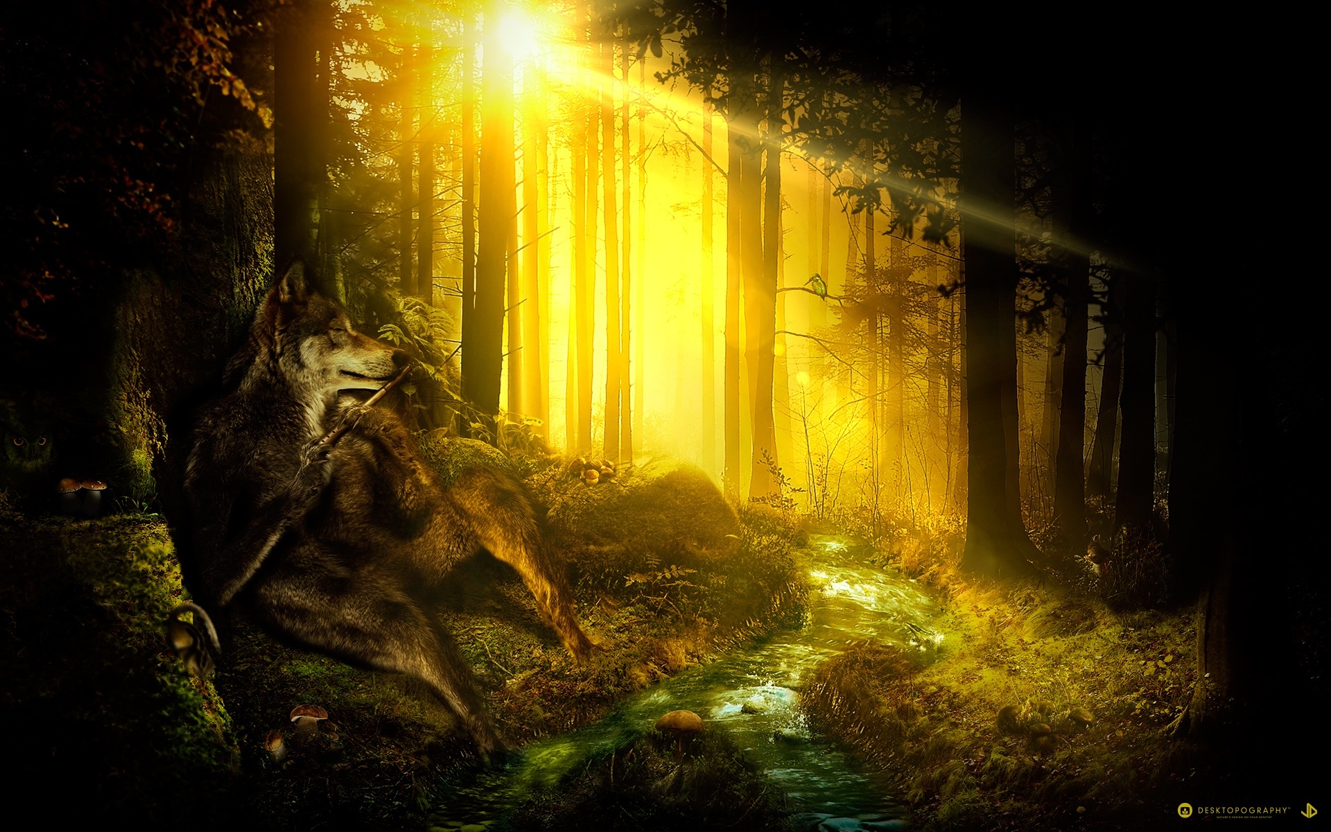 Free download wallpaper Fantasy, Animal, Fantasy Animals on your PC desktop