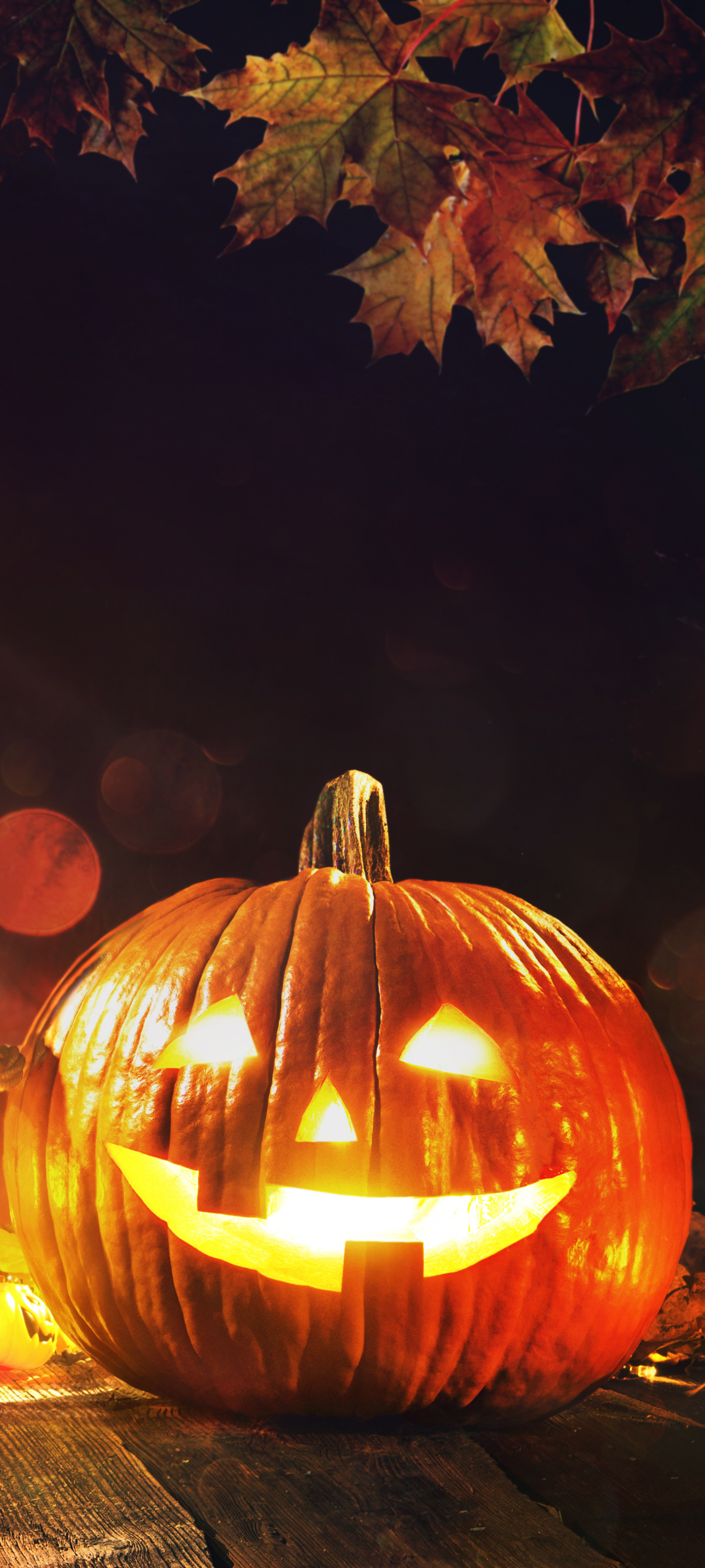 Téléchargez des papiers peints mobile Halloween, Vacances, Lanterne, Citrouille D'halloween gratuitement.