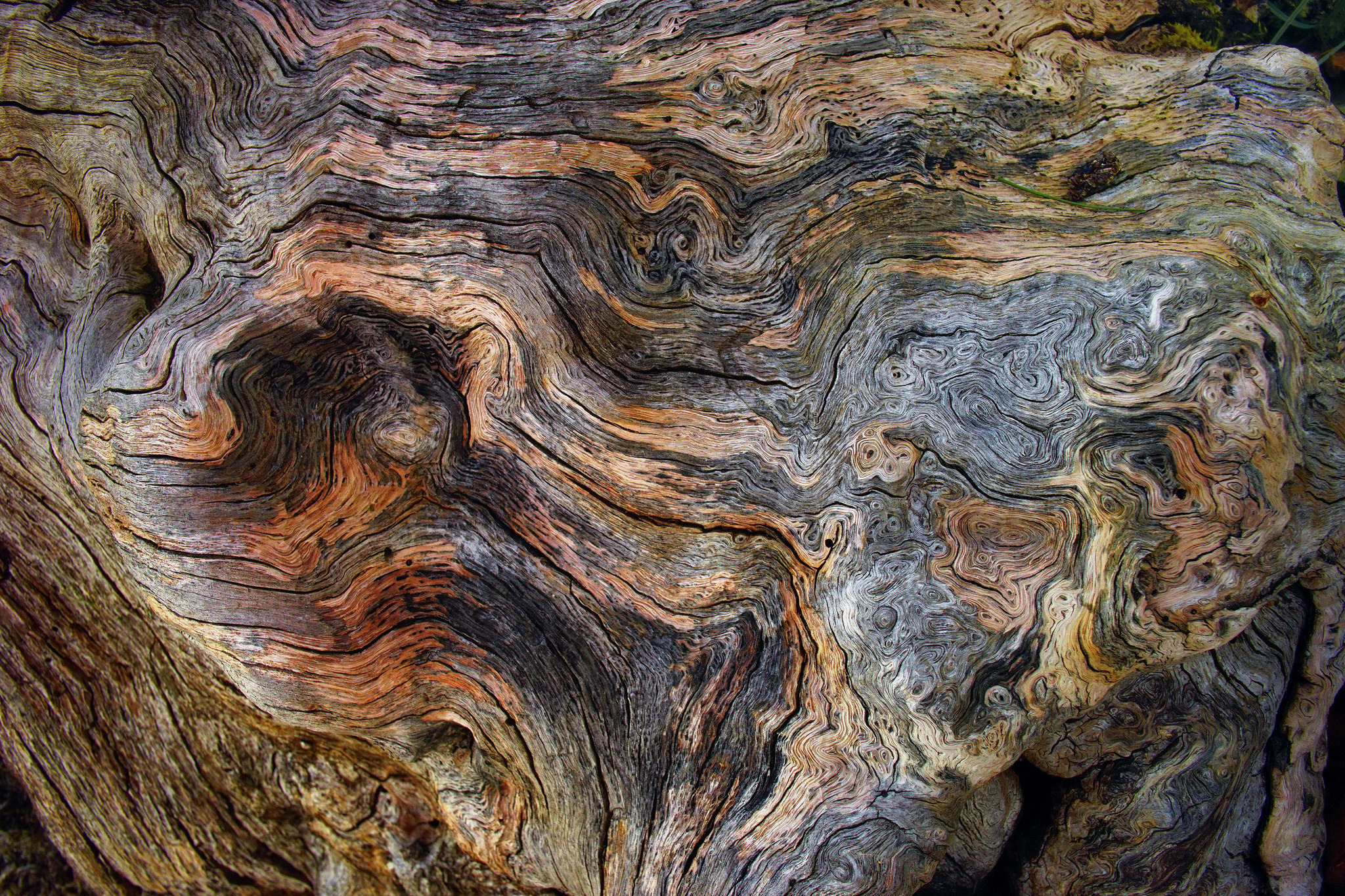 Laden Sie das Holz, Erde/natur-Bild kostenlos auf Ihren PC-Desktop herunter