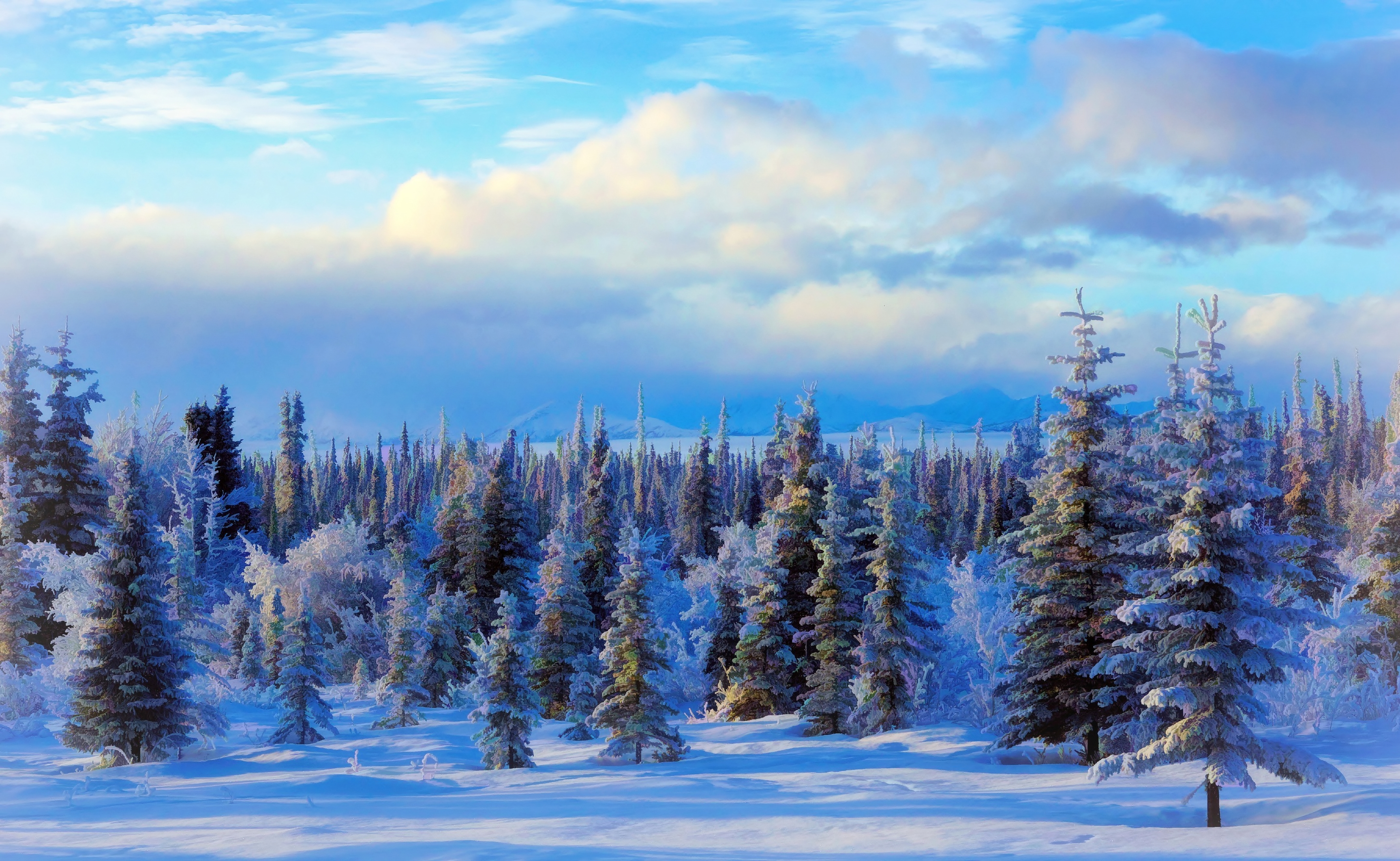 Скачать обои бесплатно Зима, Природа, Снег, Лес, Дерево, Картина, Художественные картинка на рабочий стол ПК