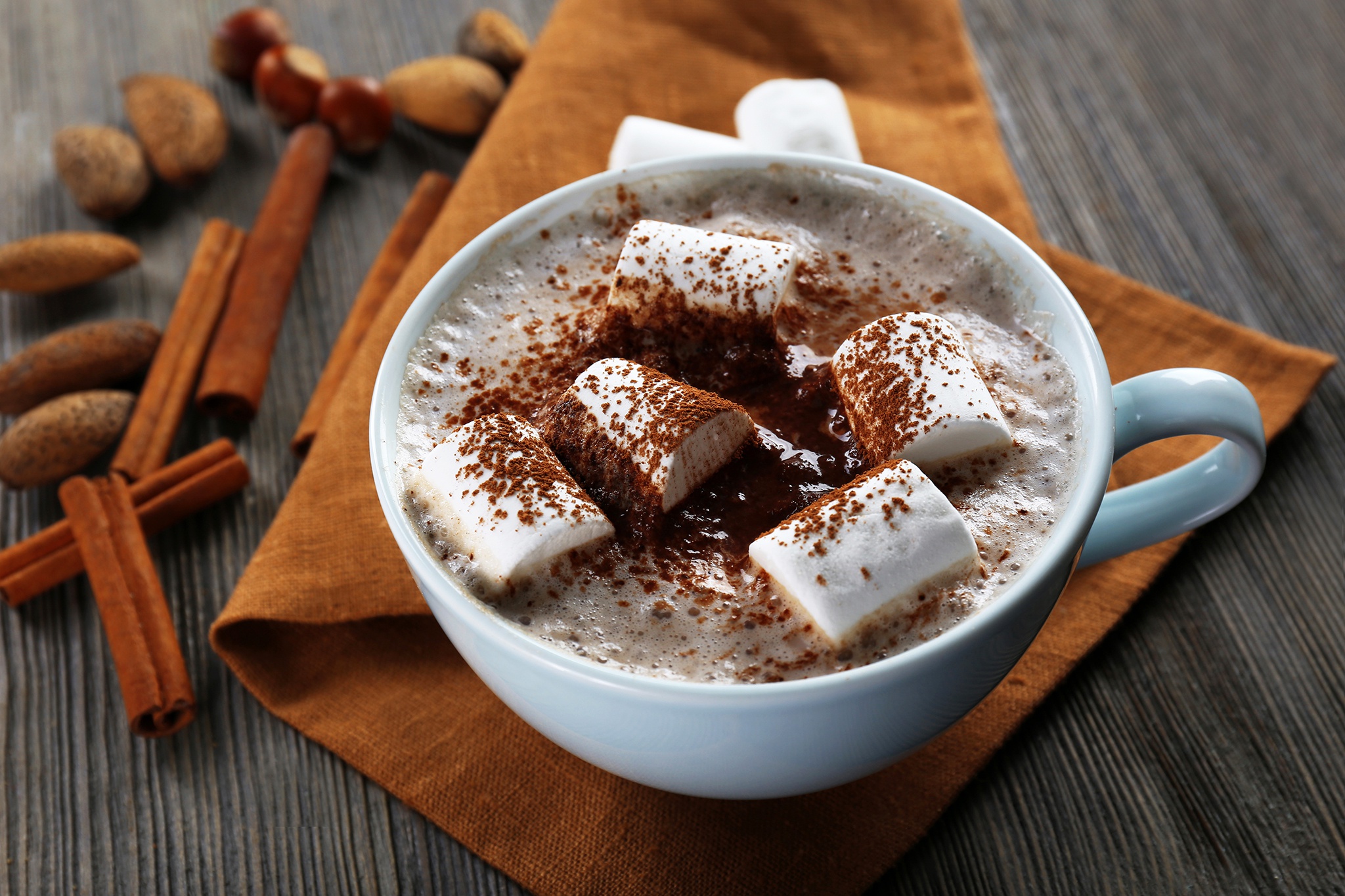 Free download wallpaper Food, Cinnamon, Cup, Marshmallow, Hot Chocolate on your PC desktop
