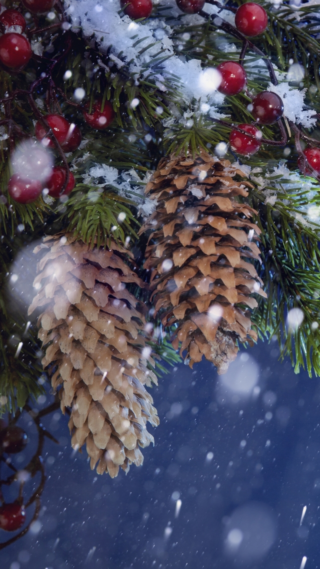 Download mobile wallpaper Moon, Christmas, Holiday, Branch, Berry, Snowfall, Pine Cone for free.