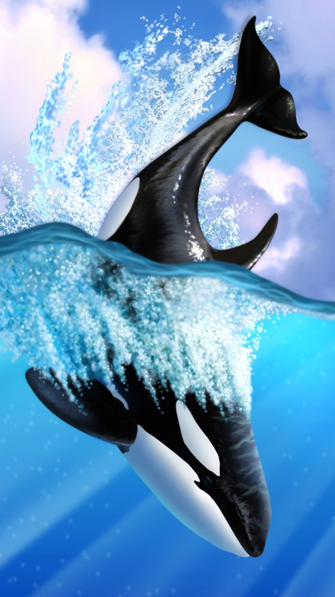 Téléchargez des papiers peints mobile Animaux, Baleine gratuitement.