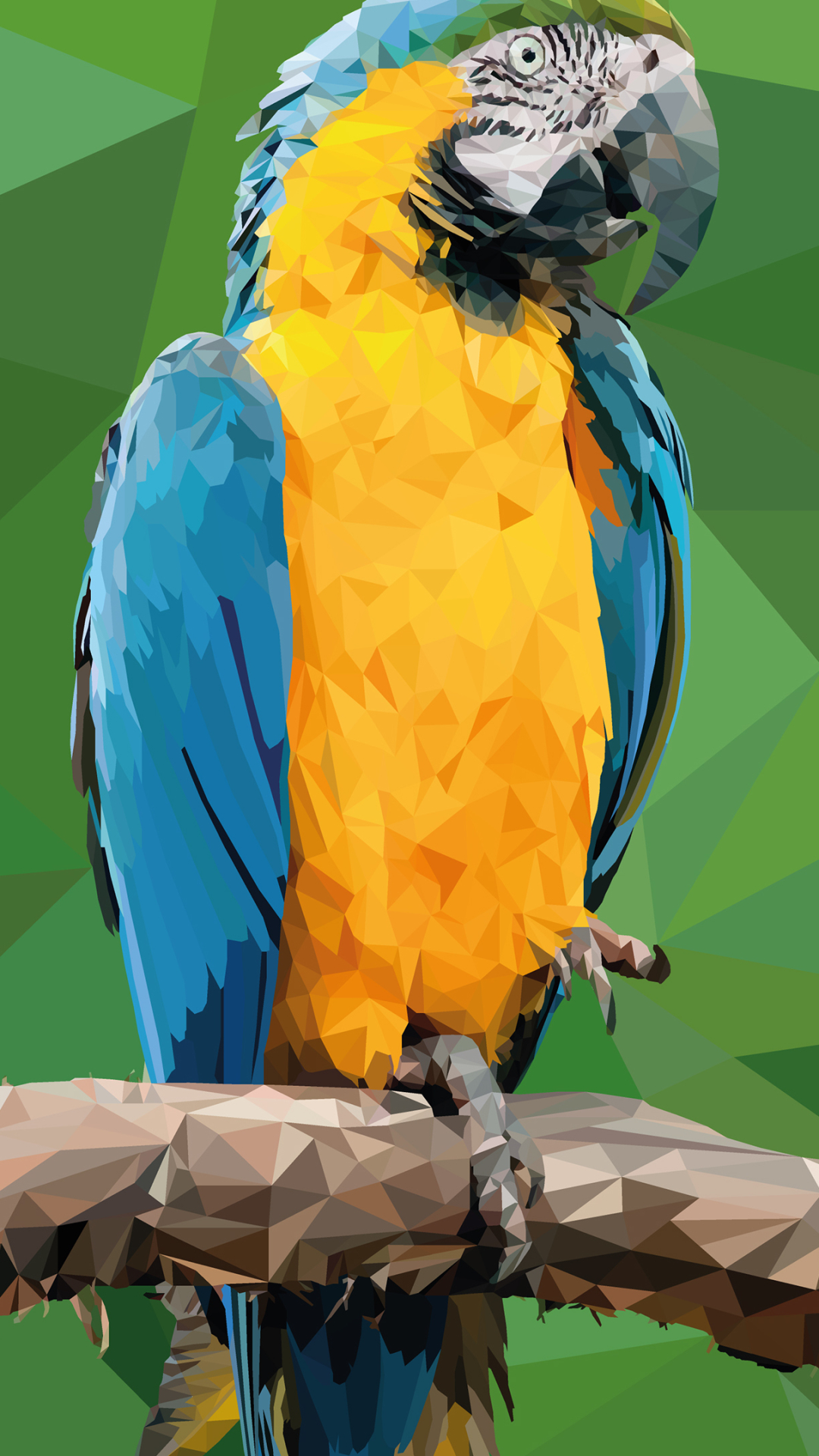 無料モバイル壁紙動物, 鳥, コンゴウインコ, ファセット, 青と黄色のコンゴウインコをダウンロードします。