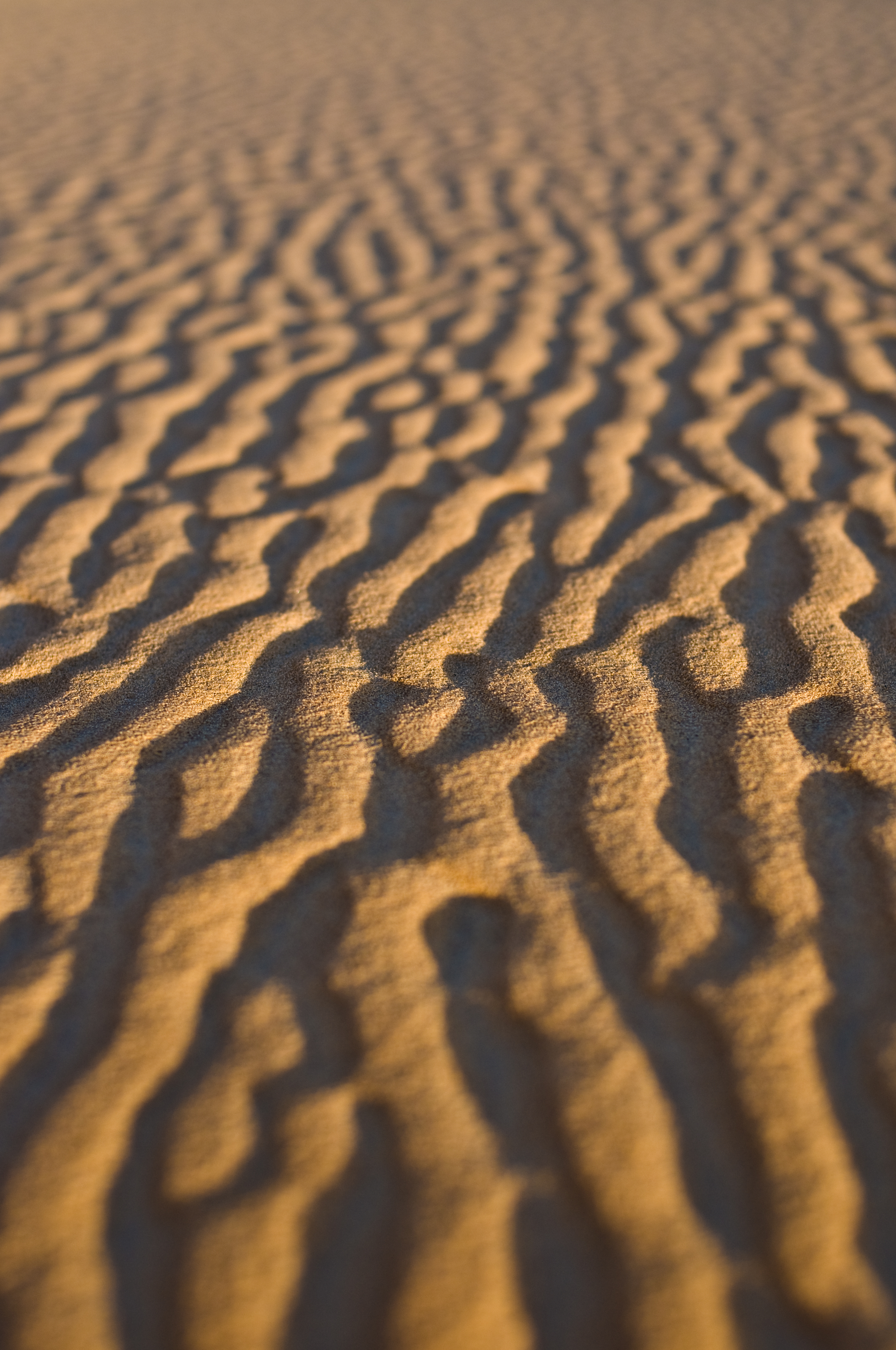 Скачать картинку Песок, Волнистый, Пустыня, Текстура, Текстуры в телефон бесплатно.