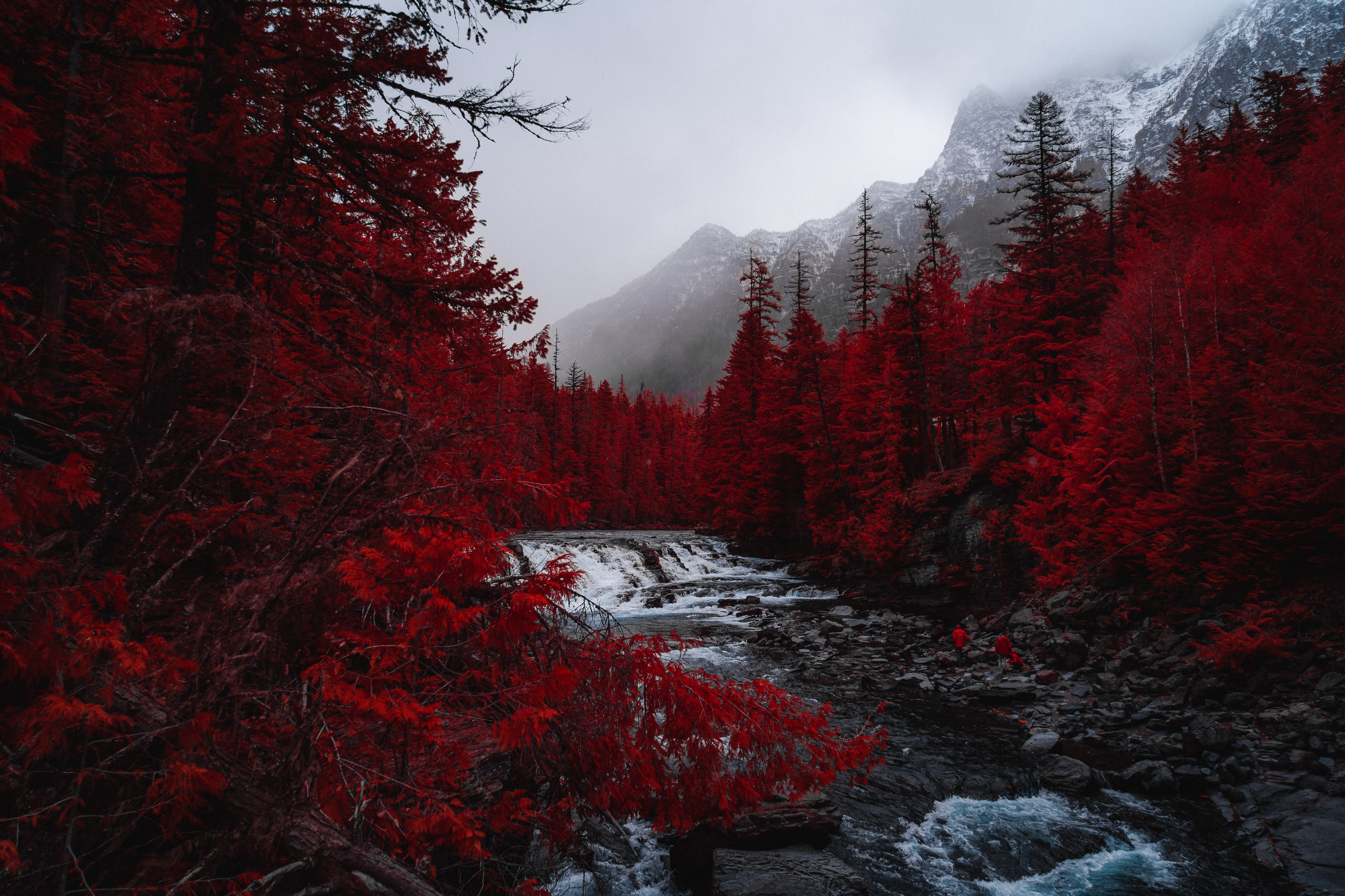 151680 скачать картинку красный, туман, горы, пейзаж, деревья, река, природа - обои и заставки бесплатно