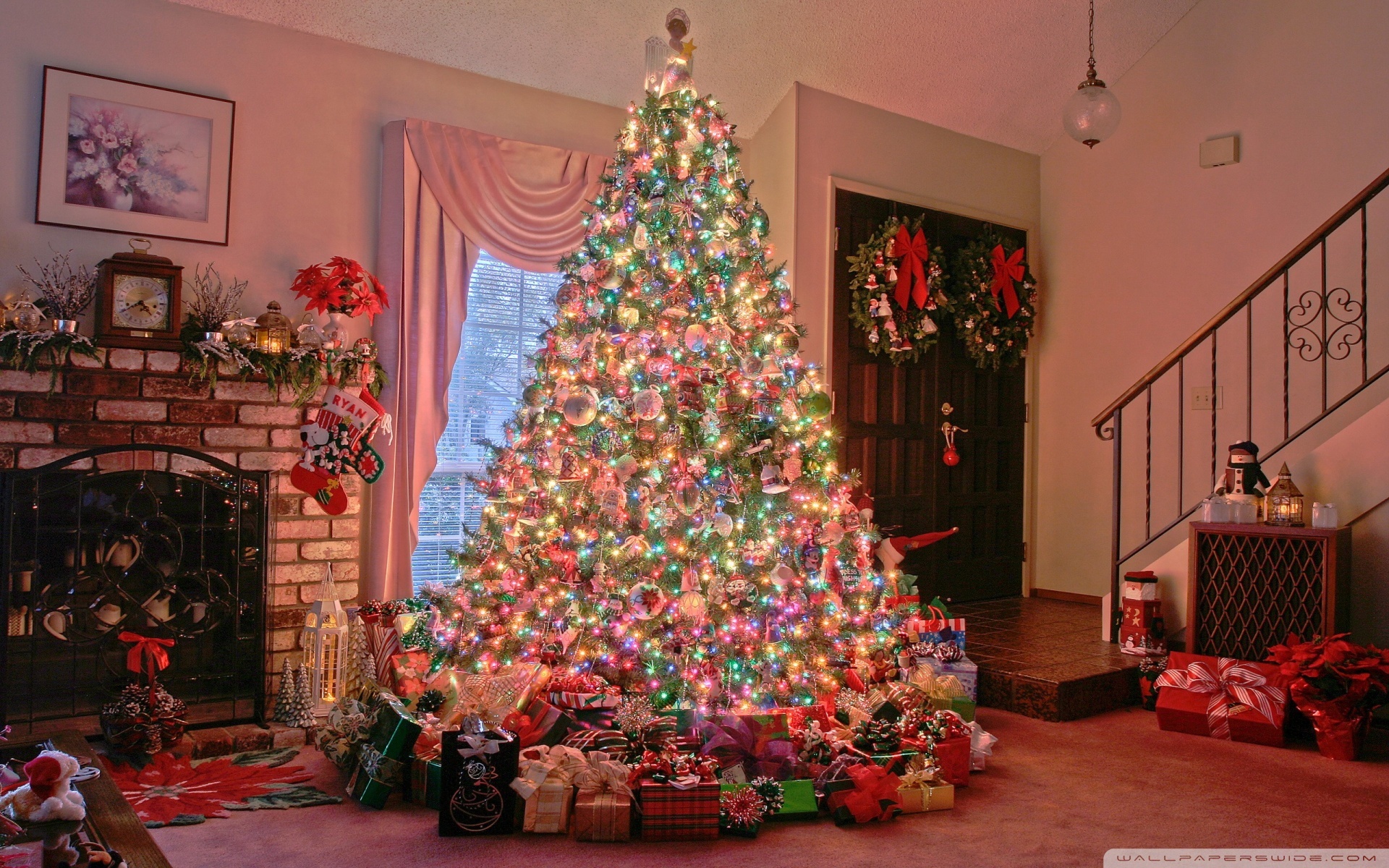christmas xmas, holidays, new year, fir trees HD wallpaper
