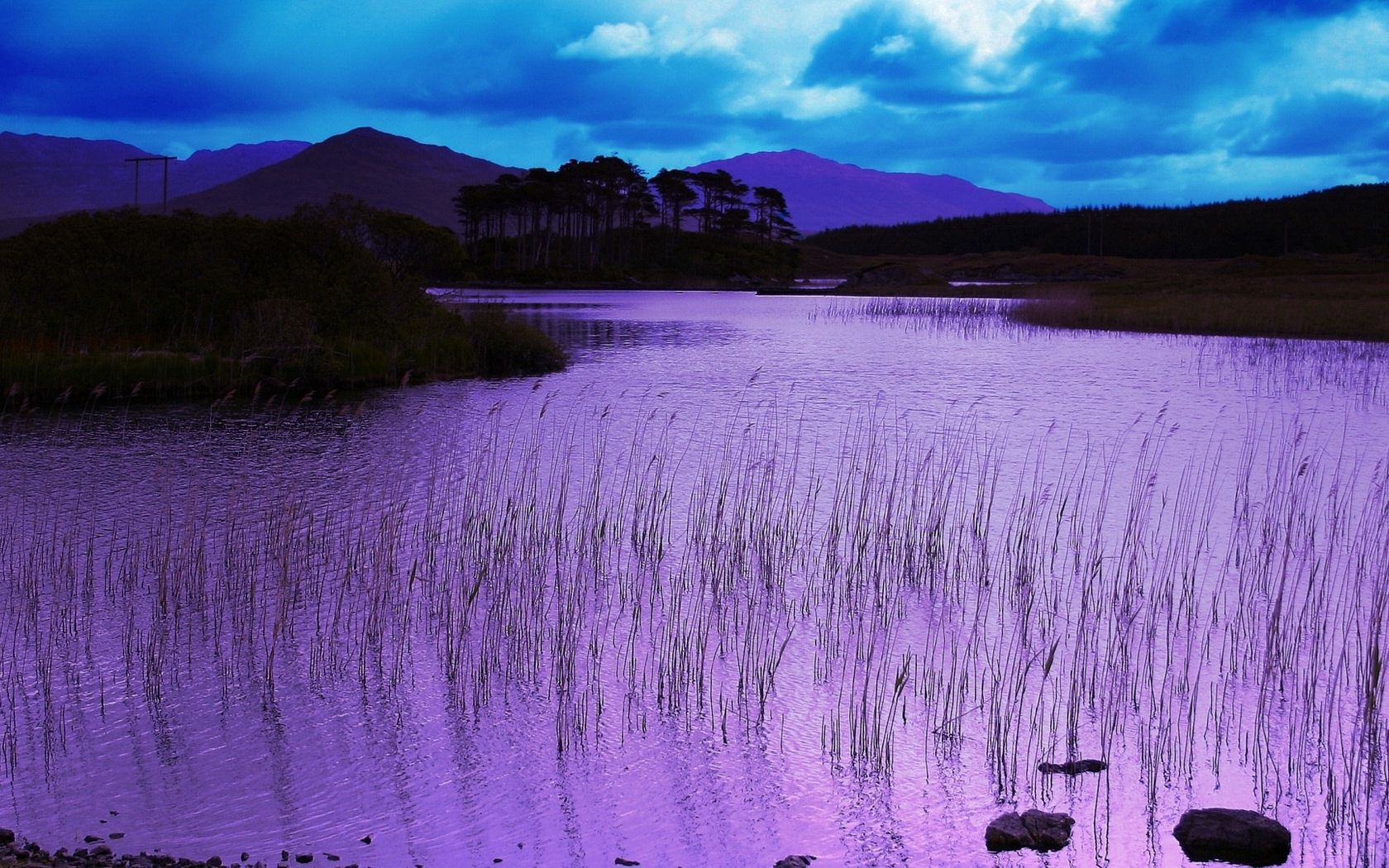 nature, water, grass, pink, evening, basin HD wallpaper