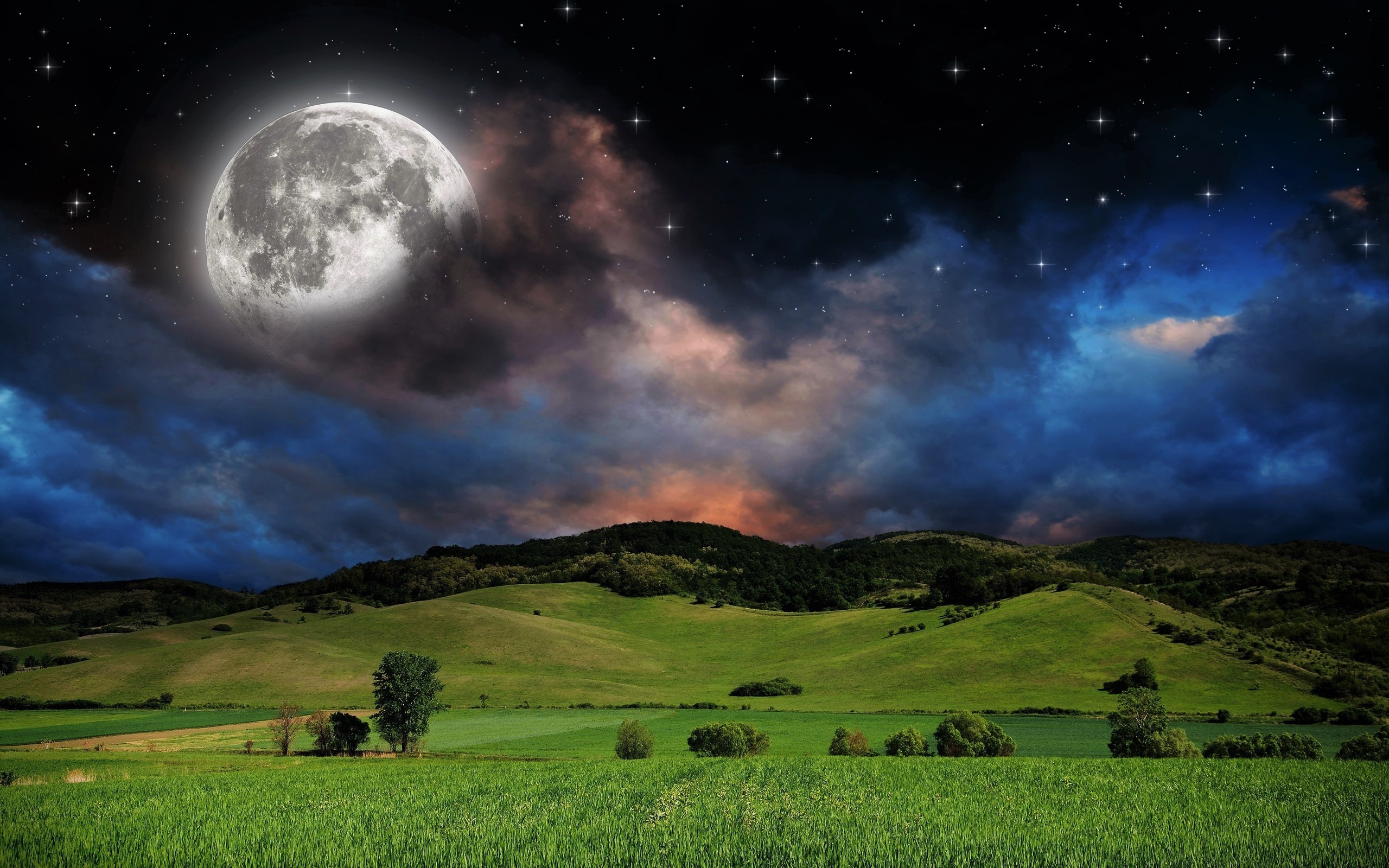 Скачать обои бесплатно Небо, Звезды, Луна, Лес, Звездное Небо, Поле, Луг, Земля/природа, Мечтательный Мир картинка на рабочий стол ПК
