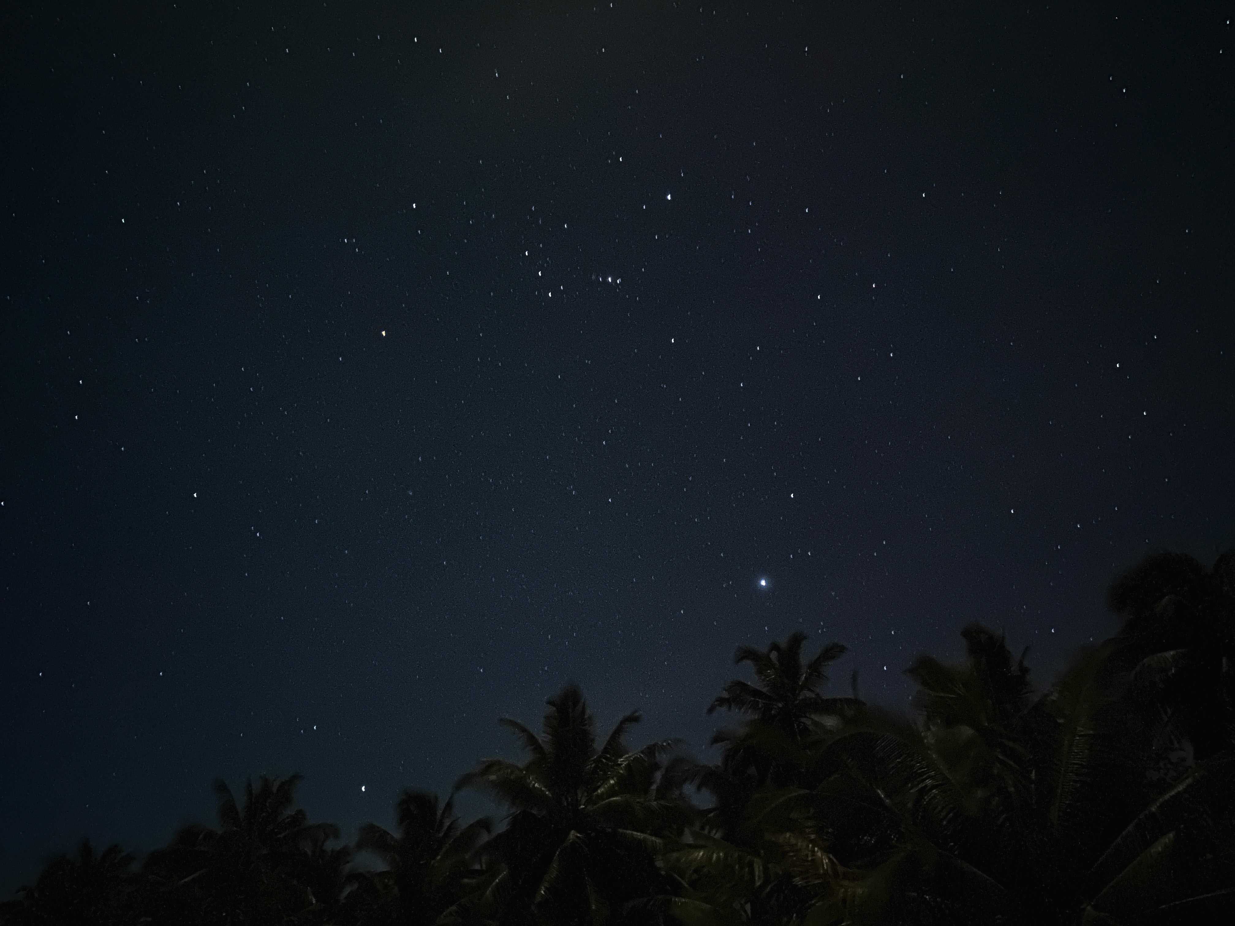 Download mobile wallpaper Stars, Starry Sky, Palms, Night, Dark for free.