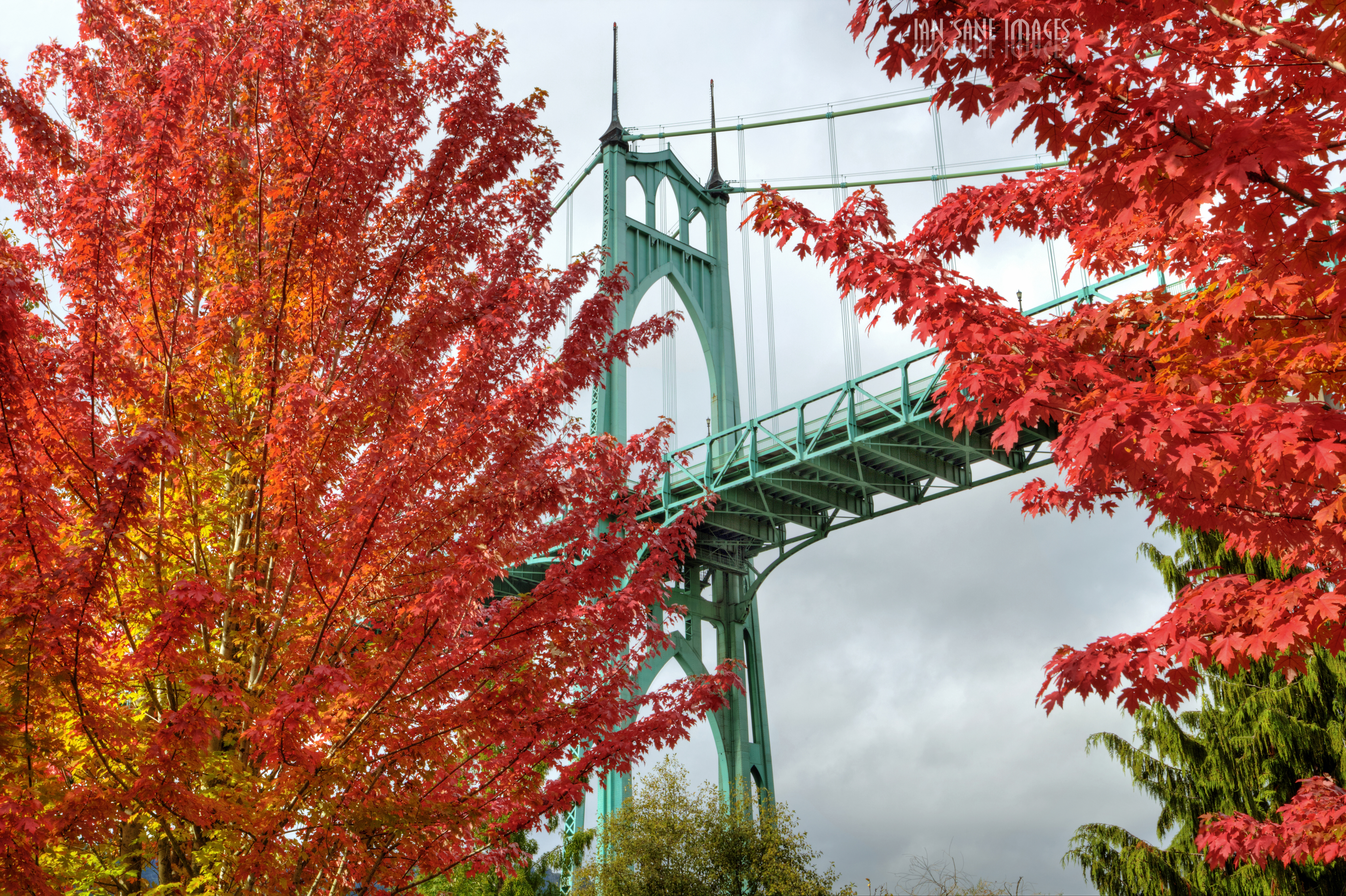 116032 скачать картинку осень, города, деревья, яркий, мост, орегон, портленд - обои и заставки бесплатно