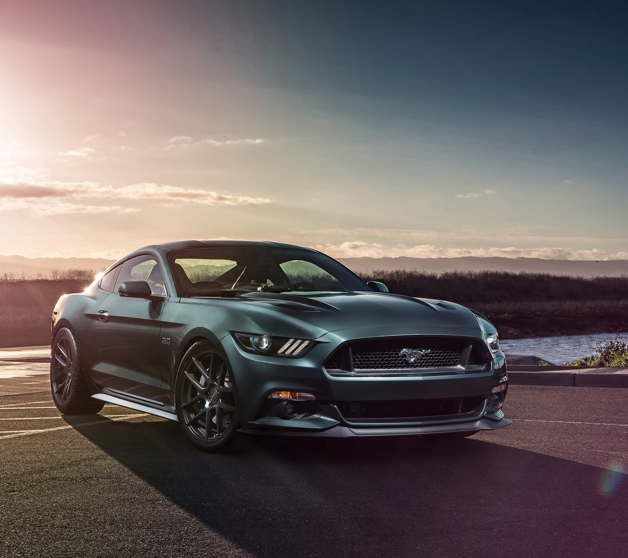 Free download wallpaper Ford, Car, Ford Mustang, Sunflower, Muscle Car, Ford Mustang Gt, Vehicle, Vehicles on your PC desktop