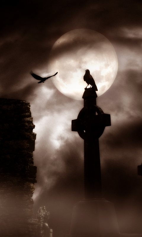 Download mobile wallpaper Gothic, Death, Dark, Sad, Crow, Cemetery, Graveyard for free.