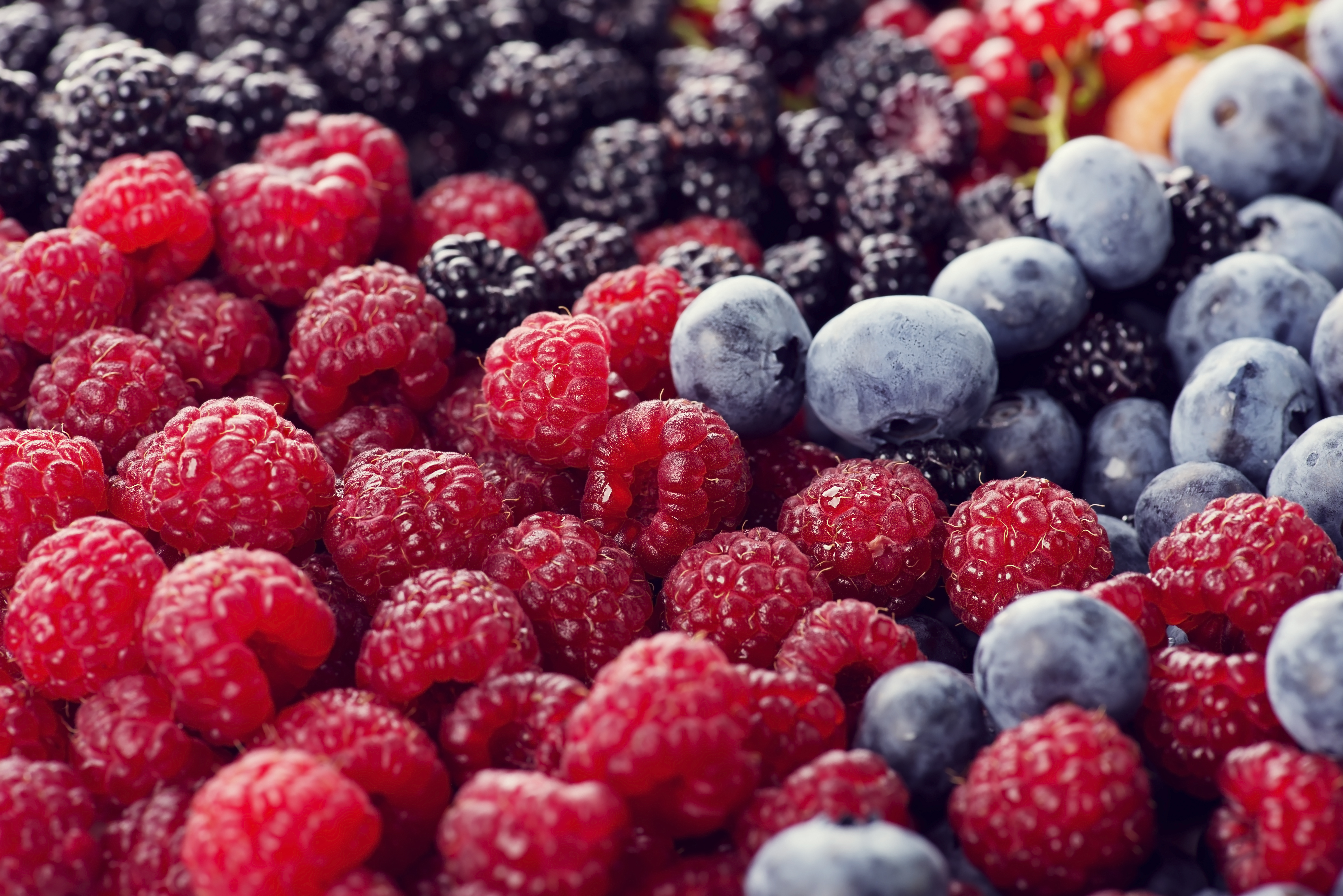 Download mobile wallpaper Food, Blueberry, Raspberry, Blackberry, Berry, Fruit for free.