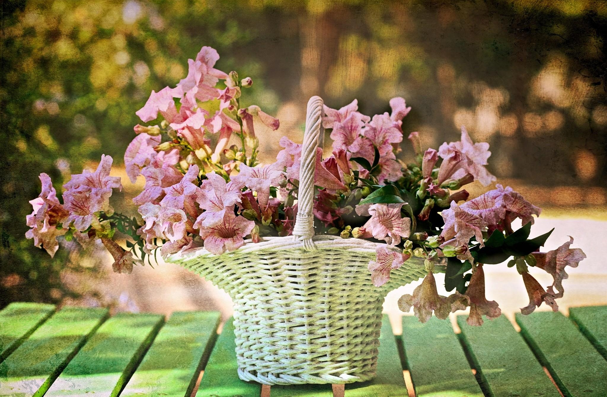 Download mobile wallpaper Basket, Smooth, Flowers, Blur for free.