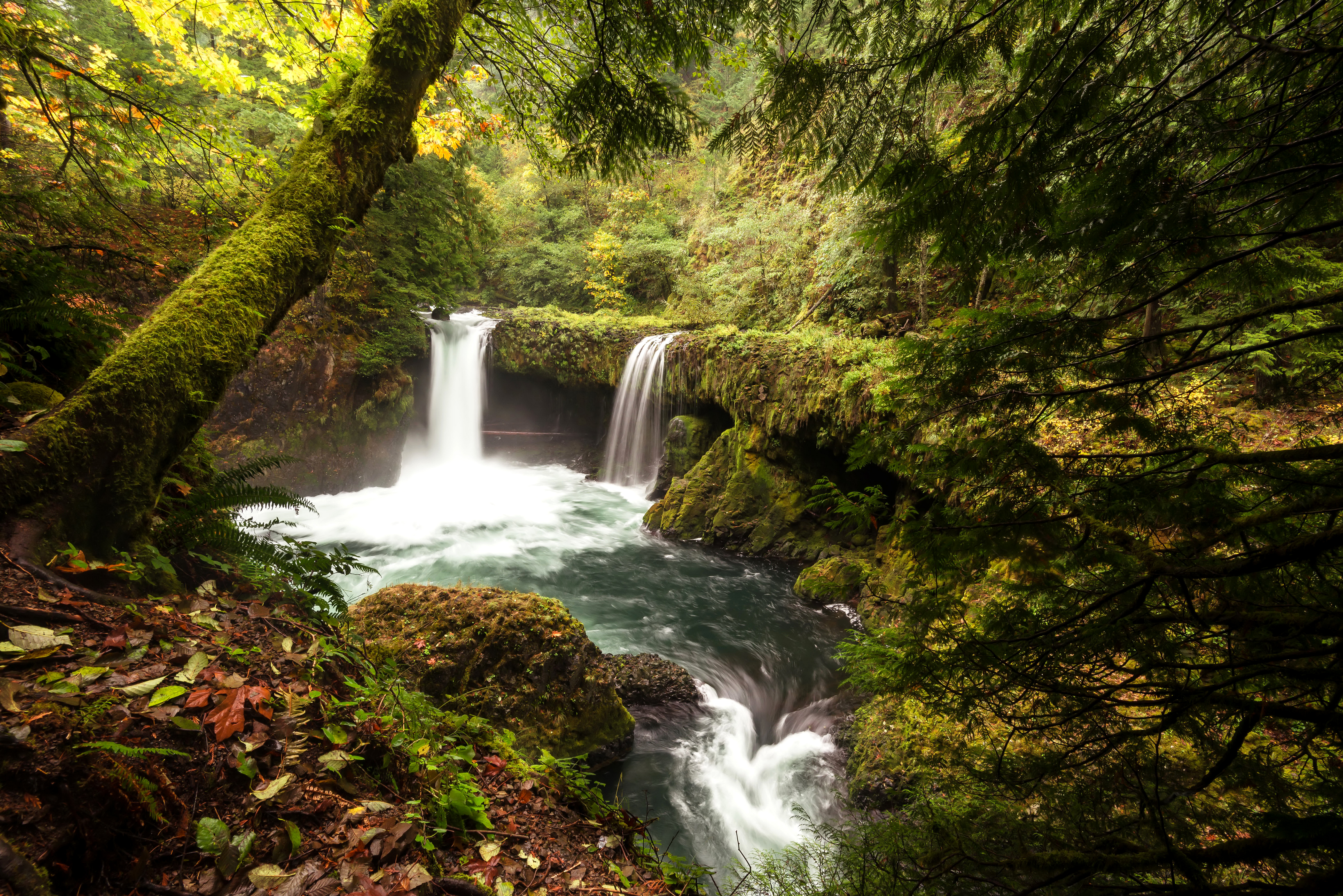 Скачать обои бесплатно Водопады, Водопад, Лес, Дерево, Зеленый, Ручей, Земля/природа картинка на рабочий стол ПК
