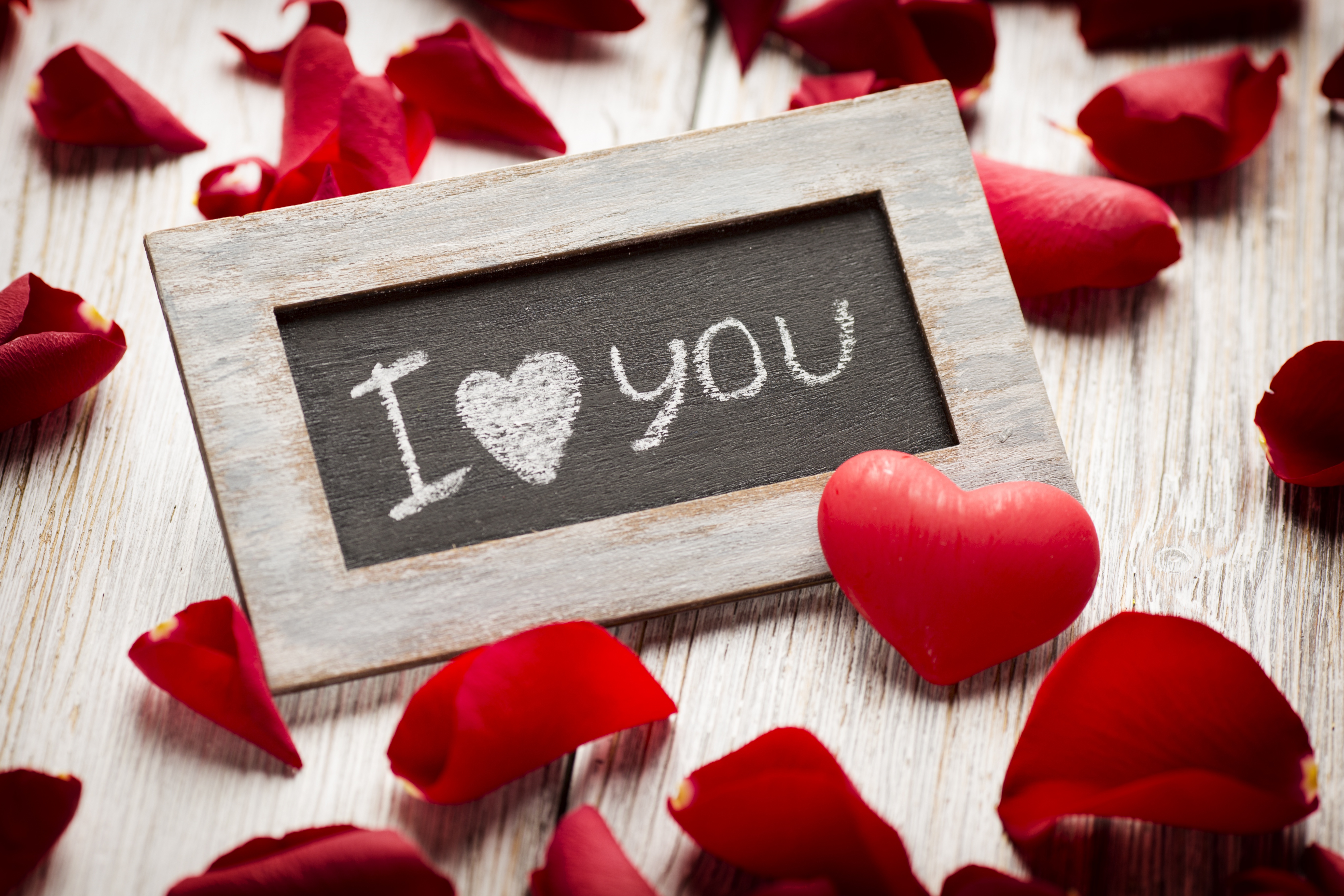 Laden Sie das Liebe, Blütenblatt, Fotografie, Stillleben-Bild kostenlos auf Ihren PC-Desktop herunter