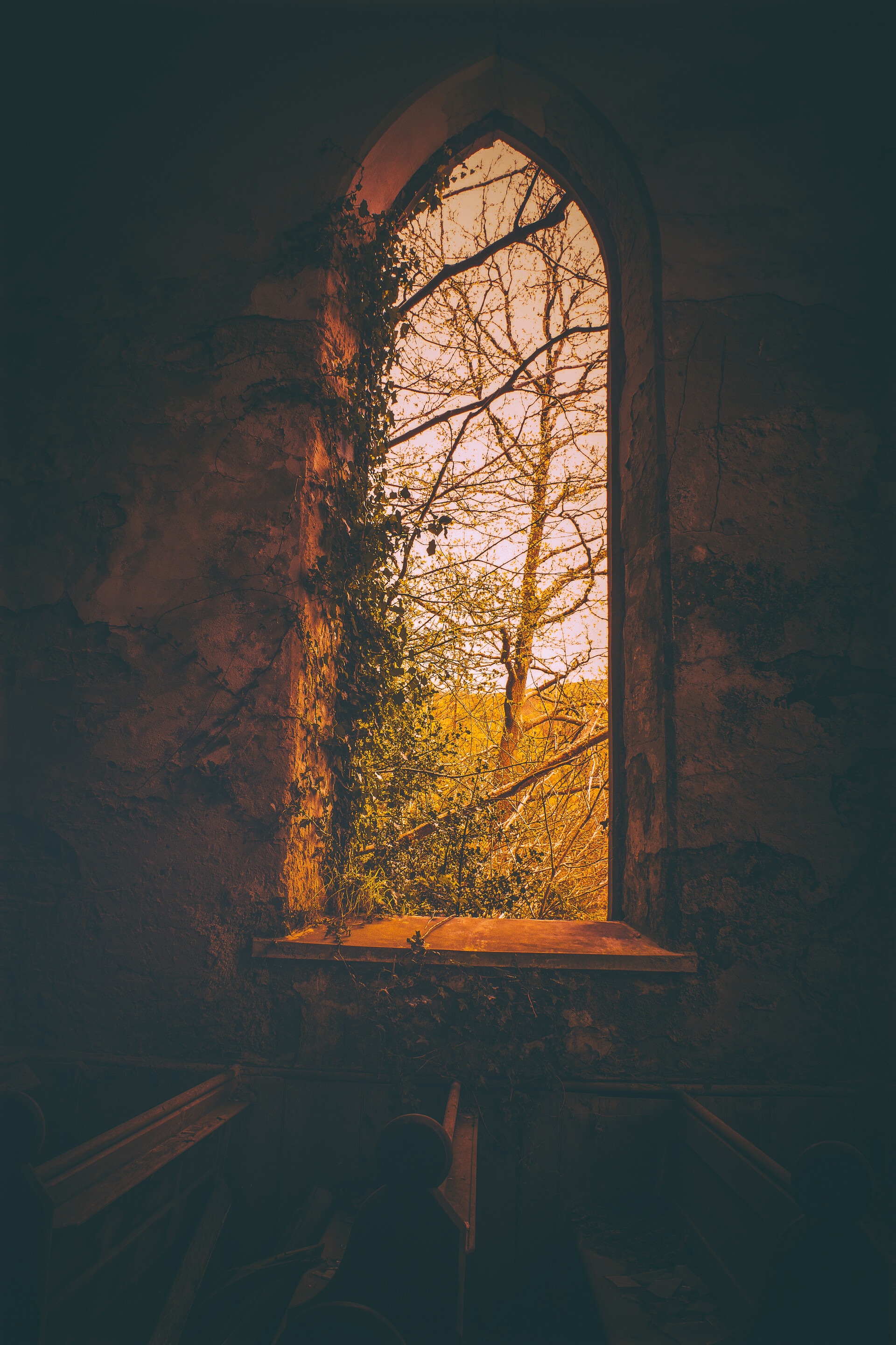 Download mobile wallpaper Branches, Window, Dark for free.