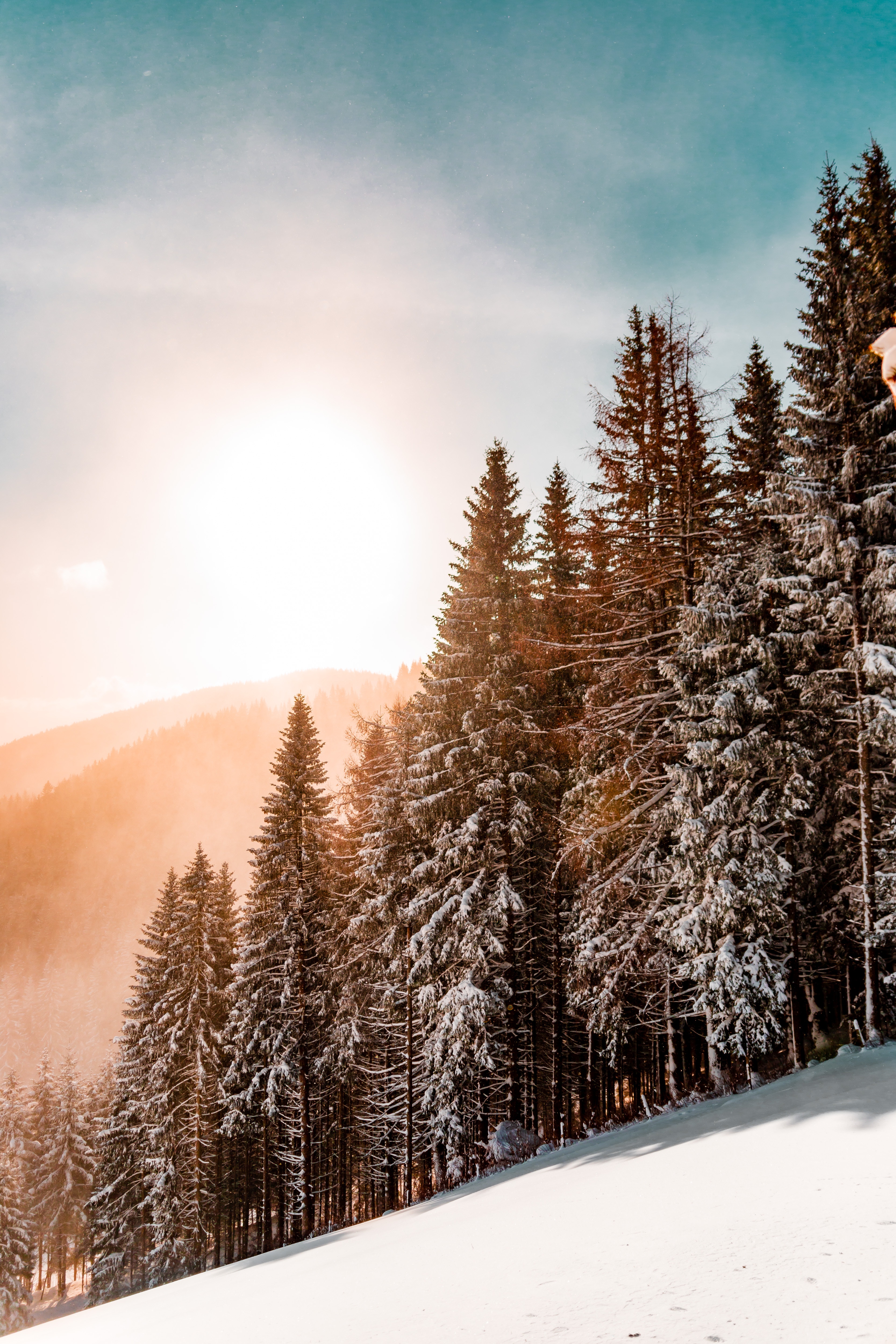 Handy-Wallpaper Bäume, Steigung, Natur, Sky, Schnee, Winter, Sonnenlicht kostenlos herunterladen.