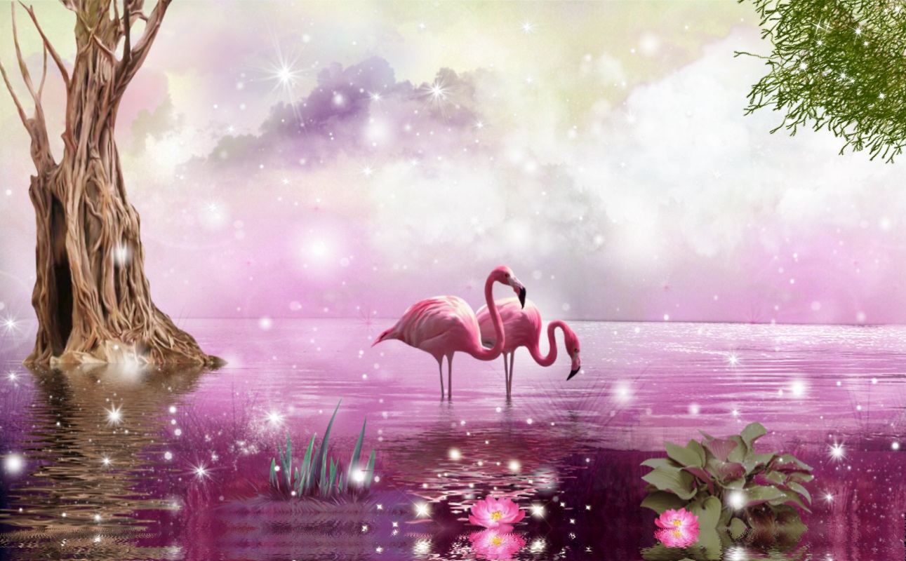flamingo, water, lilac, sparkles, animal, swamp, birds