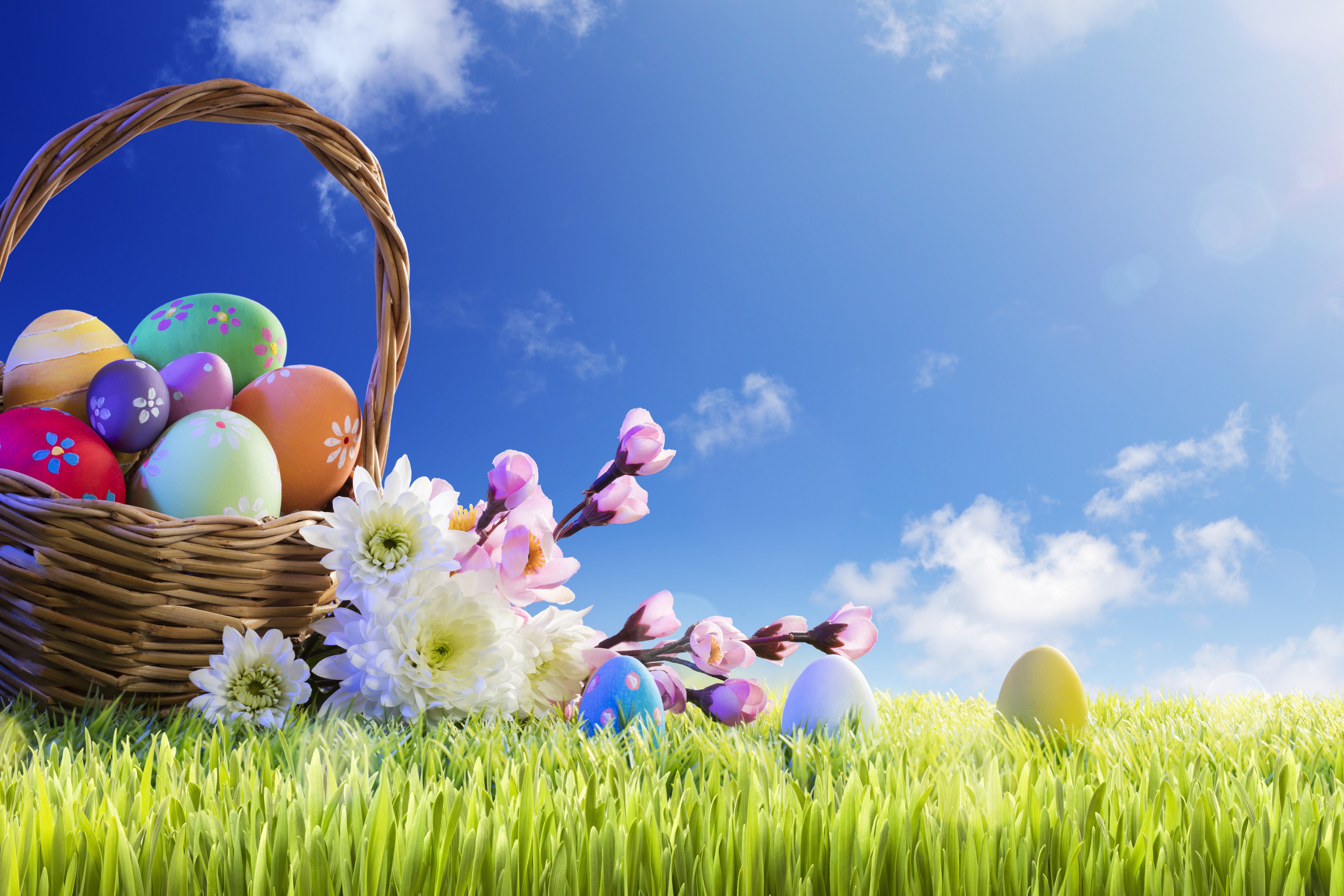 Laden Sie das Feiertage, Ostern, Blume, Korb, Gras, Osterei-Bild kostenlos auf Ihren PC-Desktop herunter