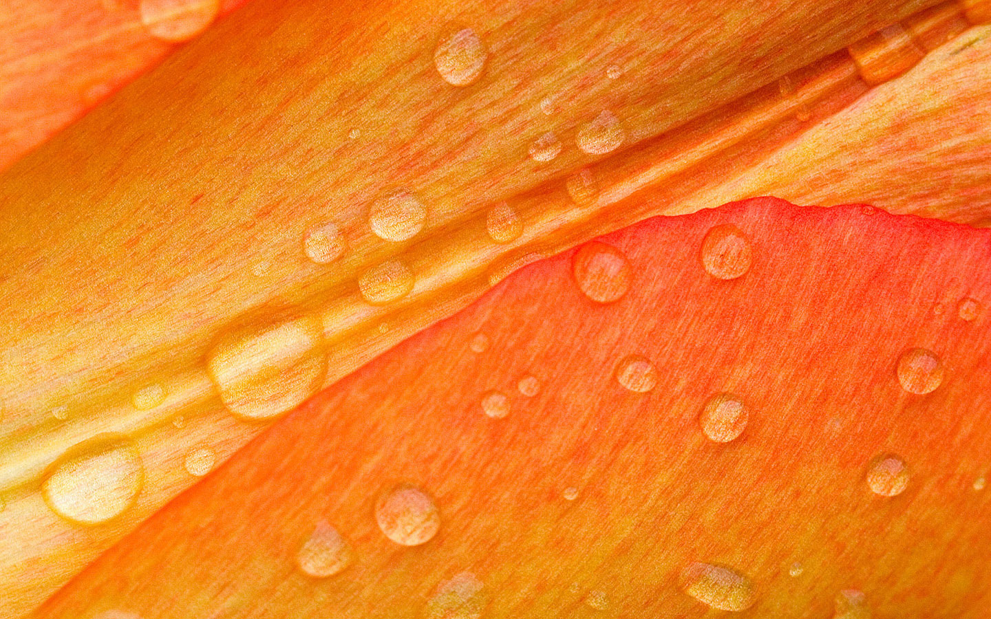 Baixar papel de parede para celular de Gota De Água, Terra/natureza gratuito.