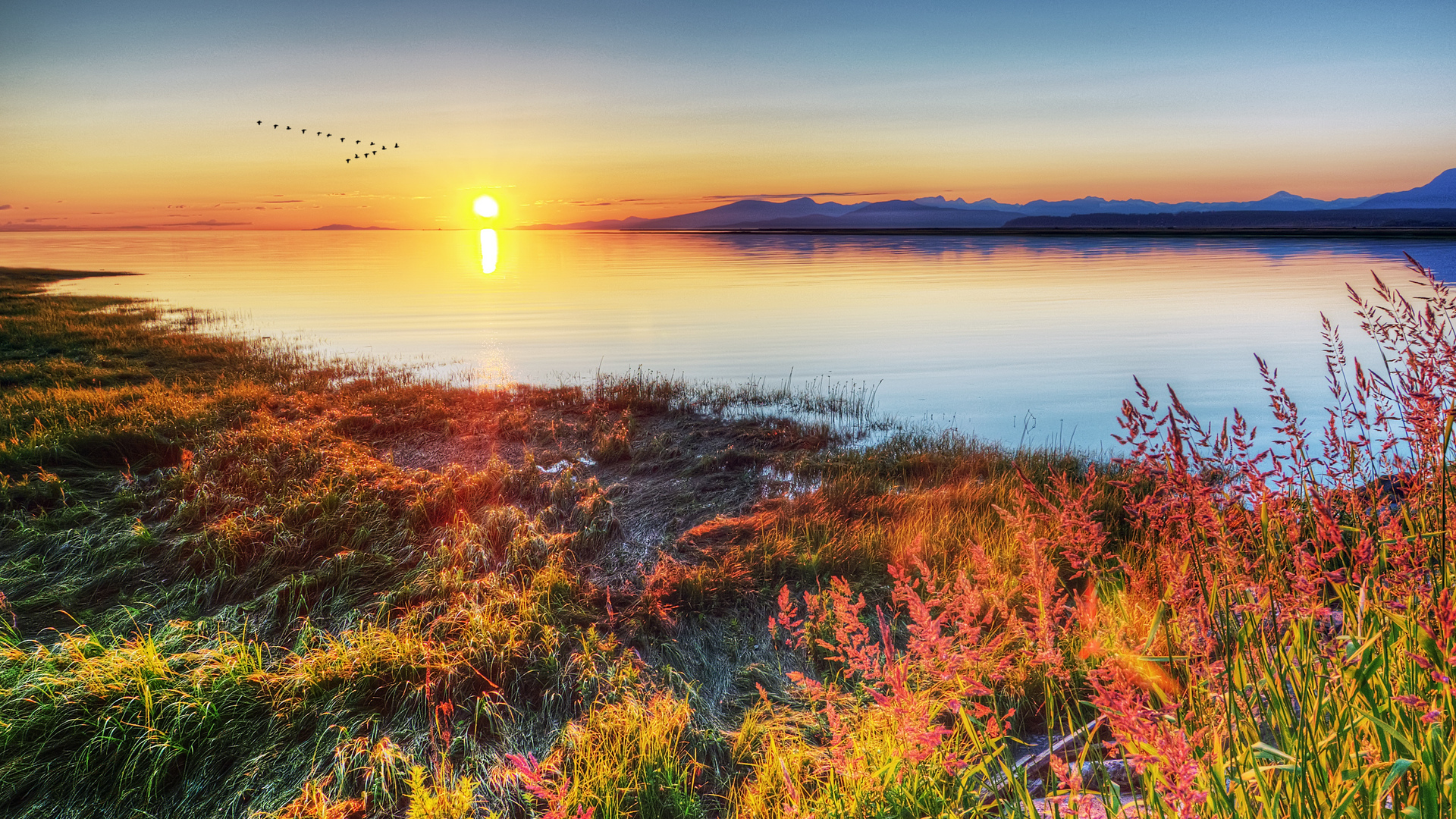 Téléchargez gratuitement l'image Coucher De Soleil, Terre/nature sur le bureau de votre PC