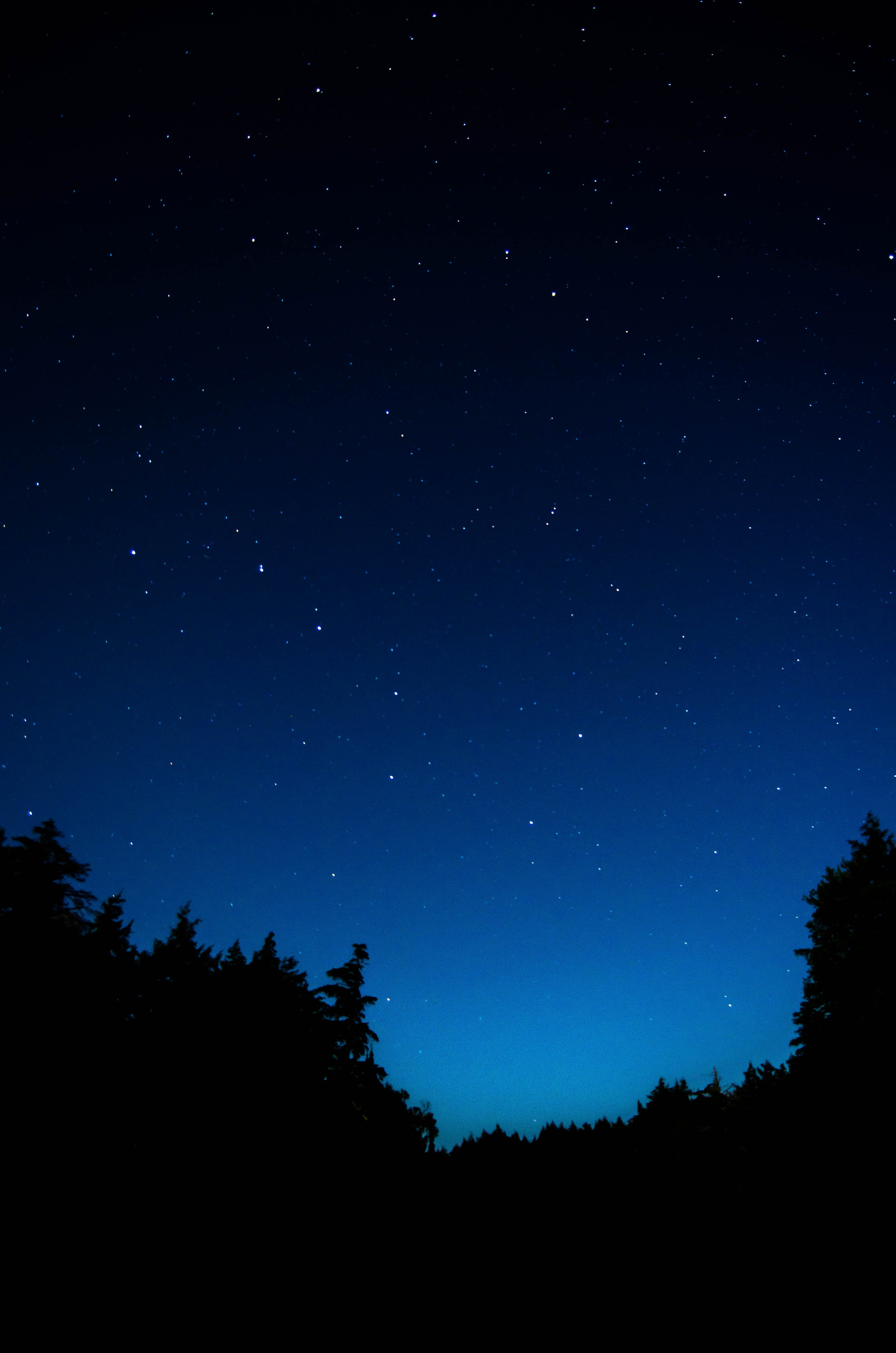 Free download wallpaper Trees, Starry Sky, Outlines, Dark, Night on your PC desktop