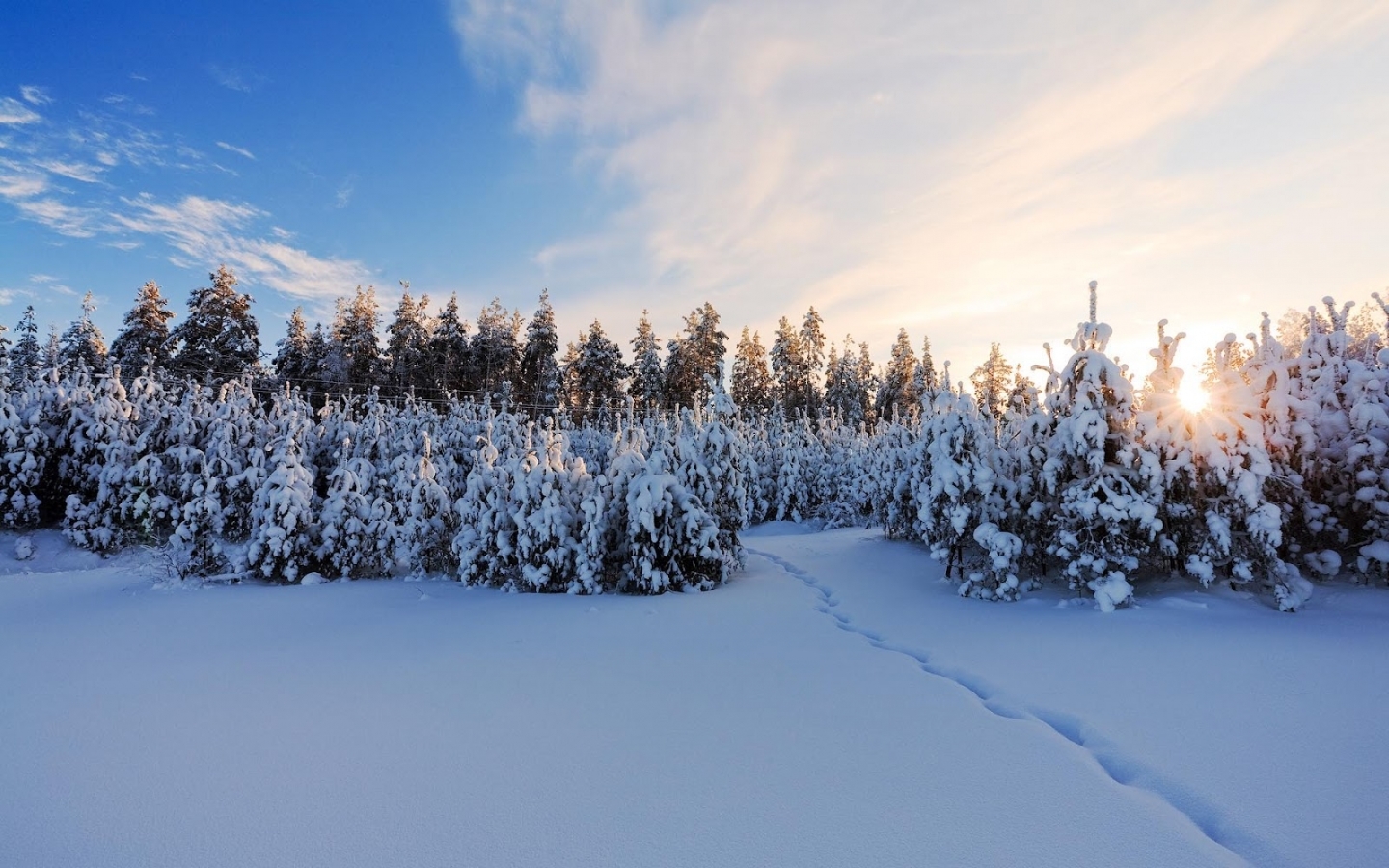 Завантажити шпалери безкоштовно Пейзаж, Сніг, Зима картинка на робочий стіл ПК