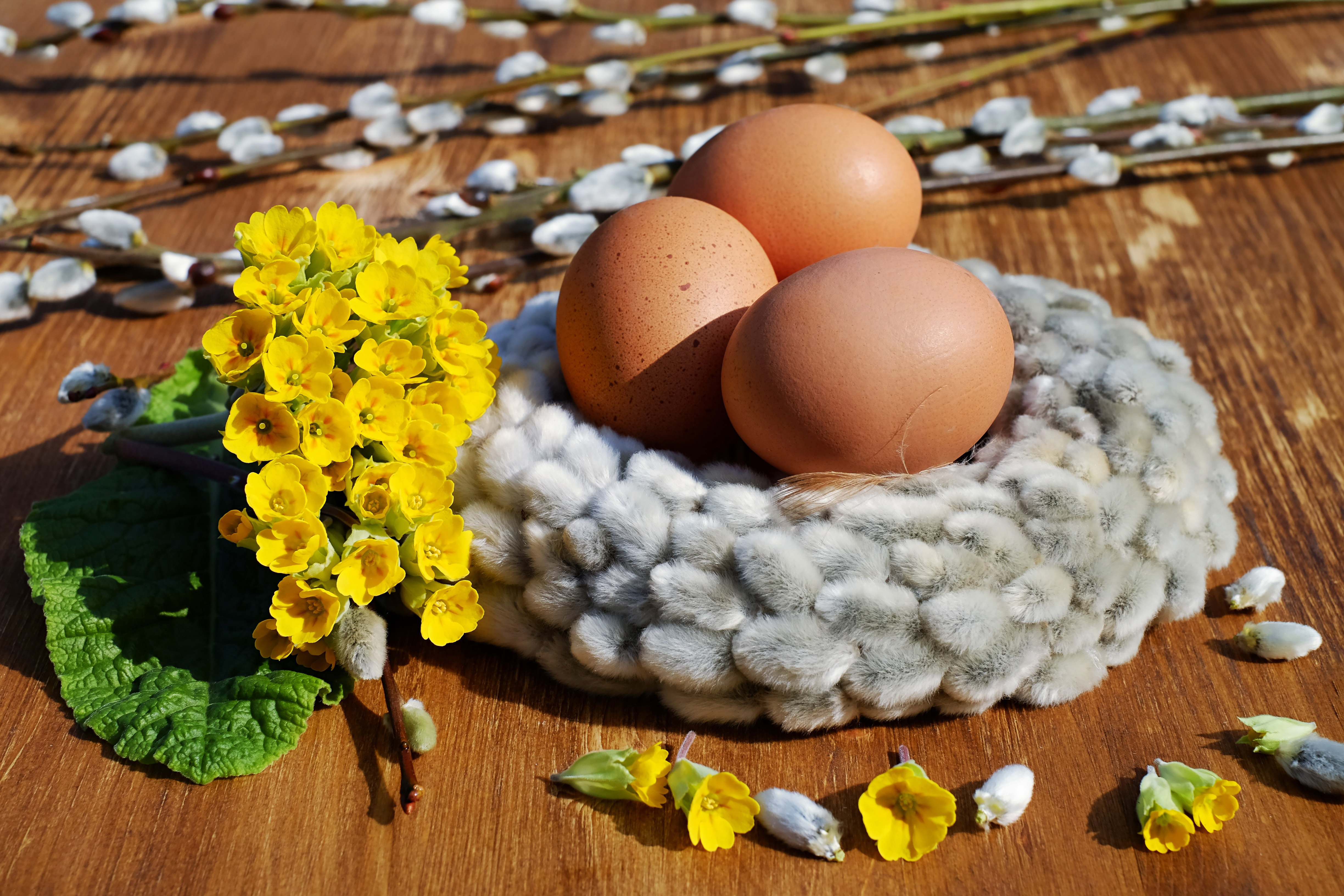 無料モバイル壁紙卵, イースター, 黄色い花, ホリデーをダウンロードします。